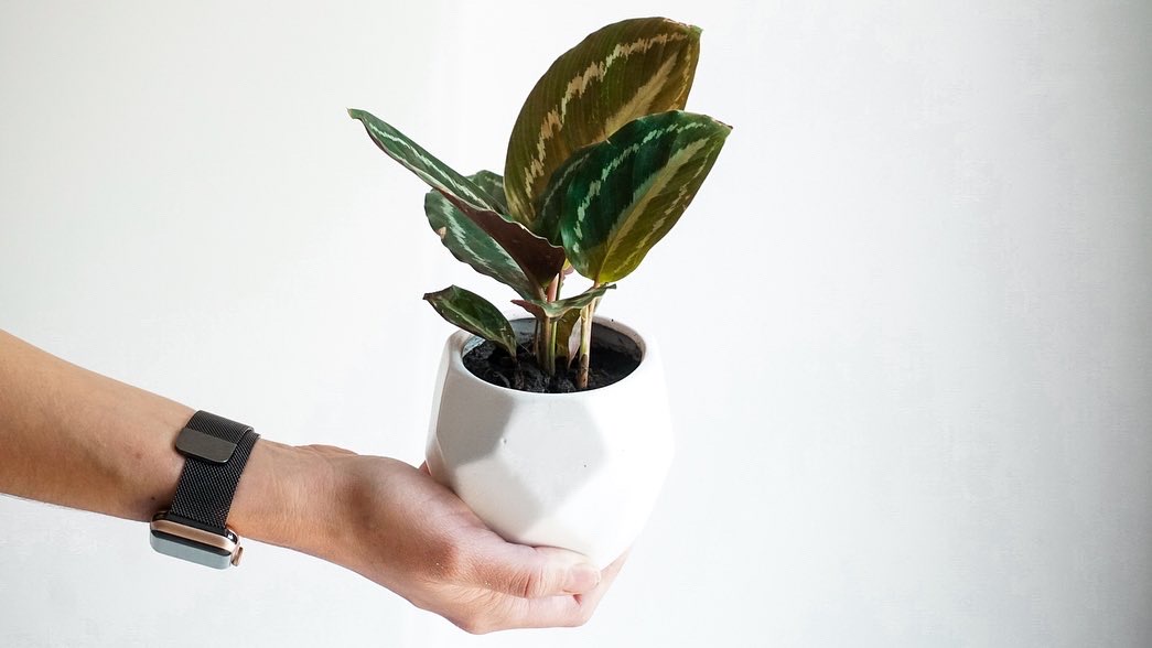 154653A9-79B5-4BA7-980A-95D6CF2B7C5A