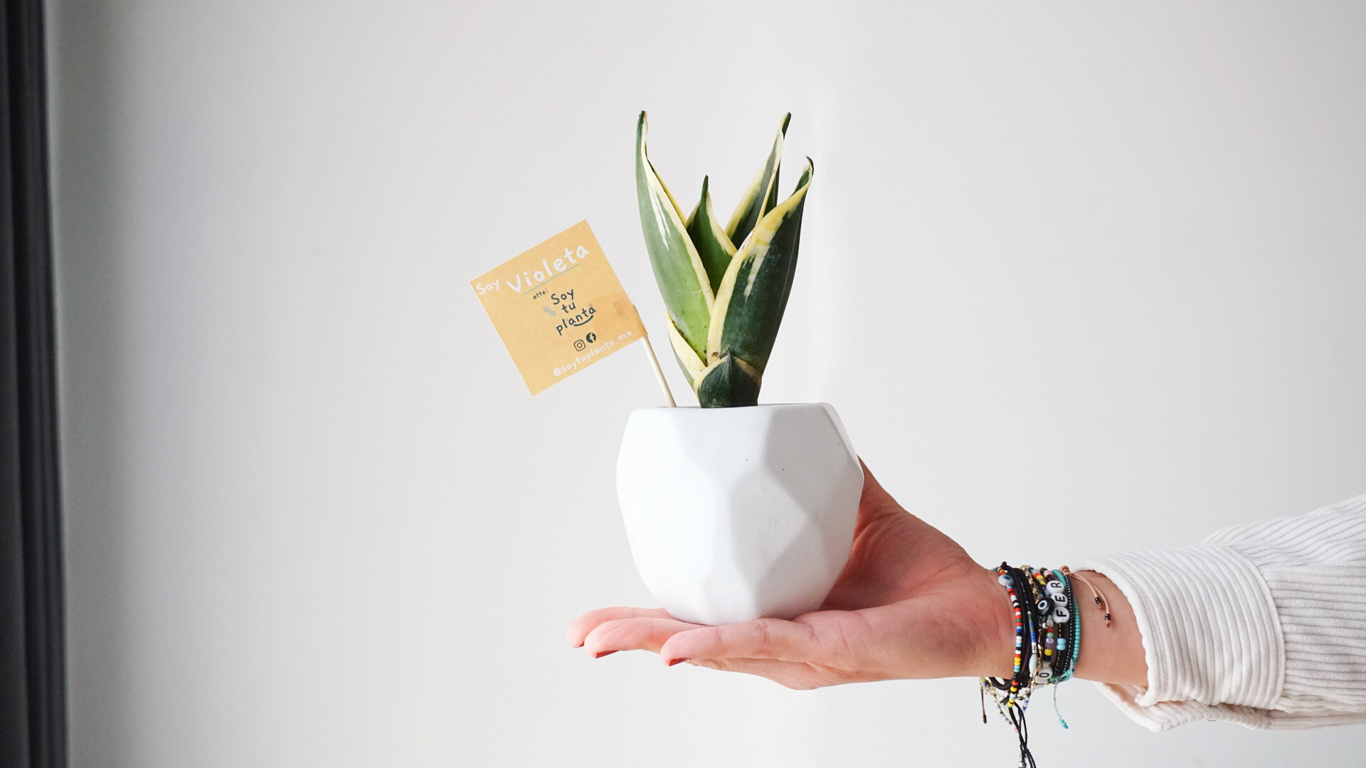 EA6742E4-398B-4841-AC95-BCE621F27389