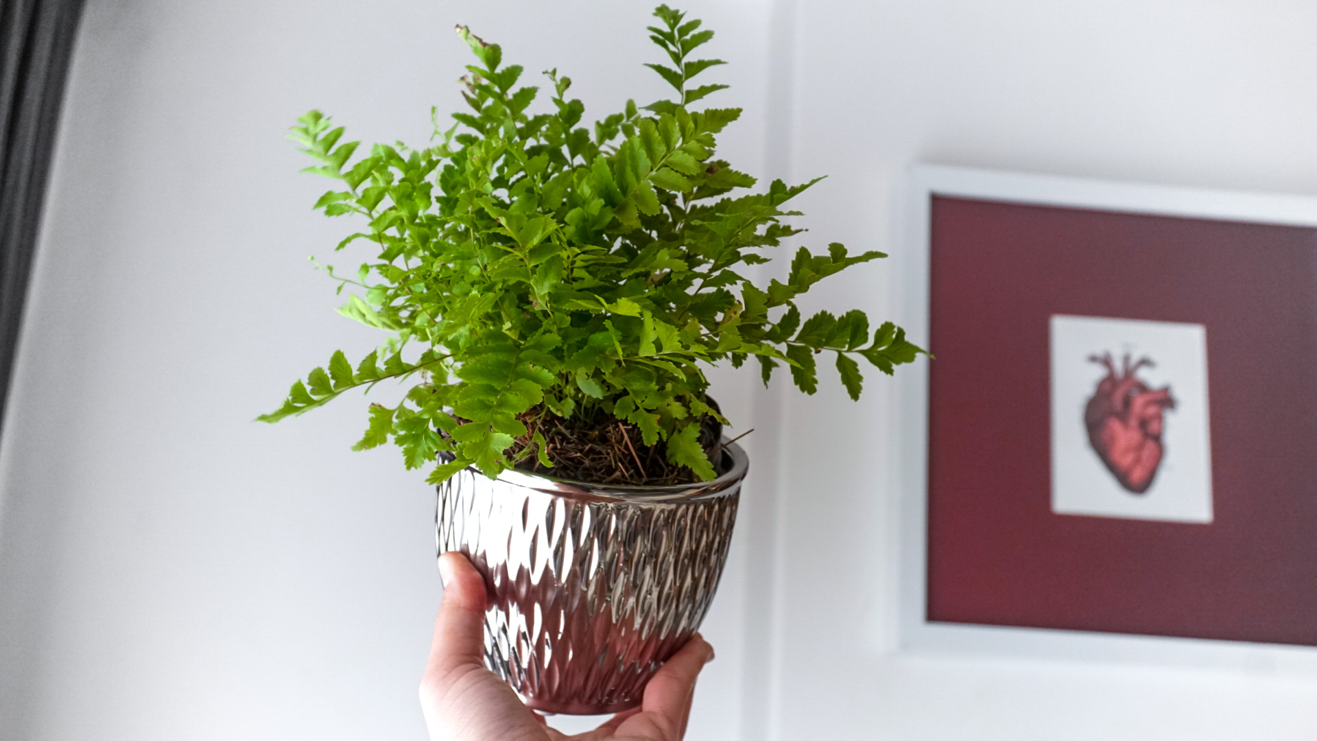 Foto 17-03-21 17 49 42