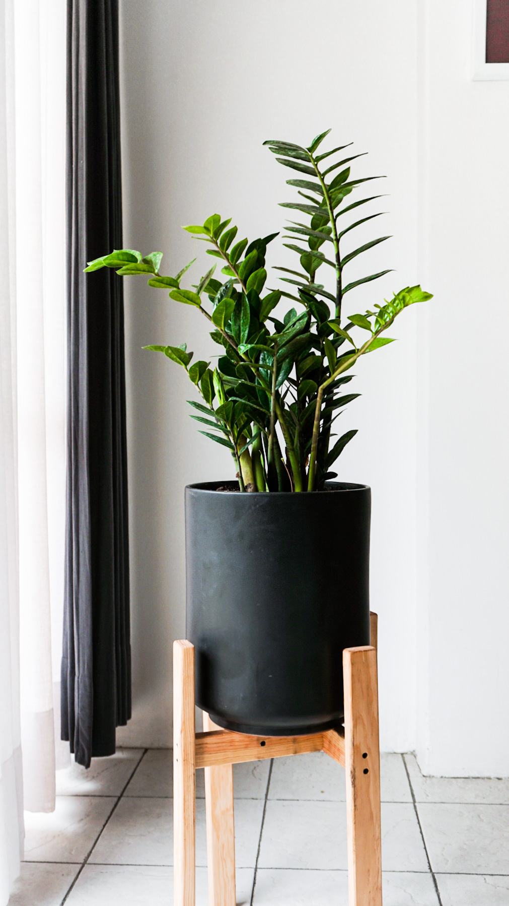 Foto 18-05-21 14 30 40