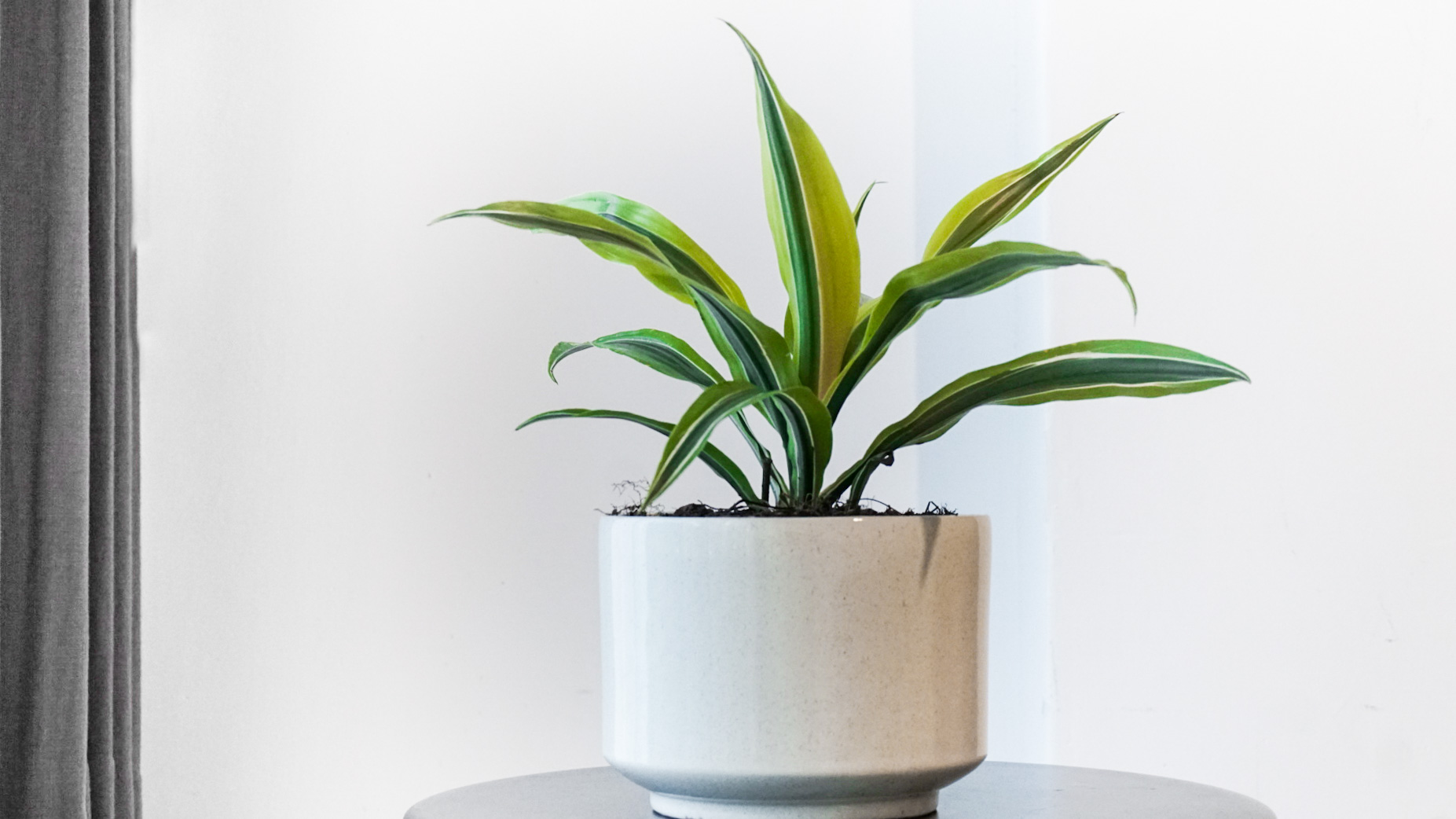 Foto 21-05-21 9 04 56