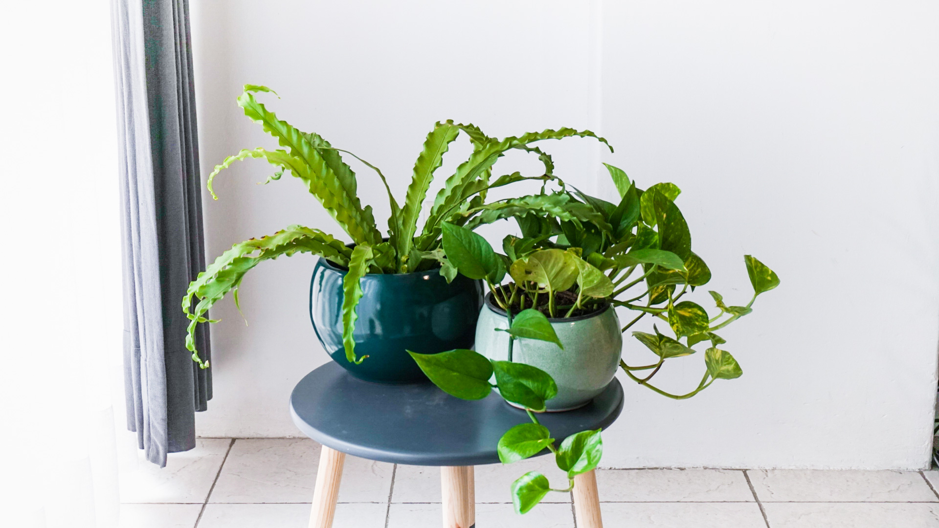 Foto 24-04-21 15 26 45