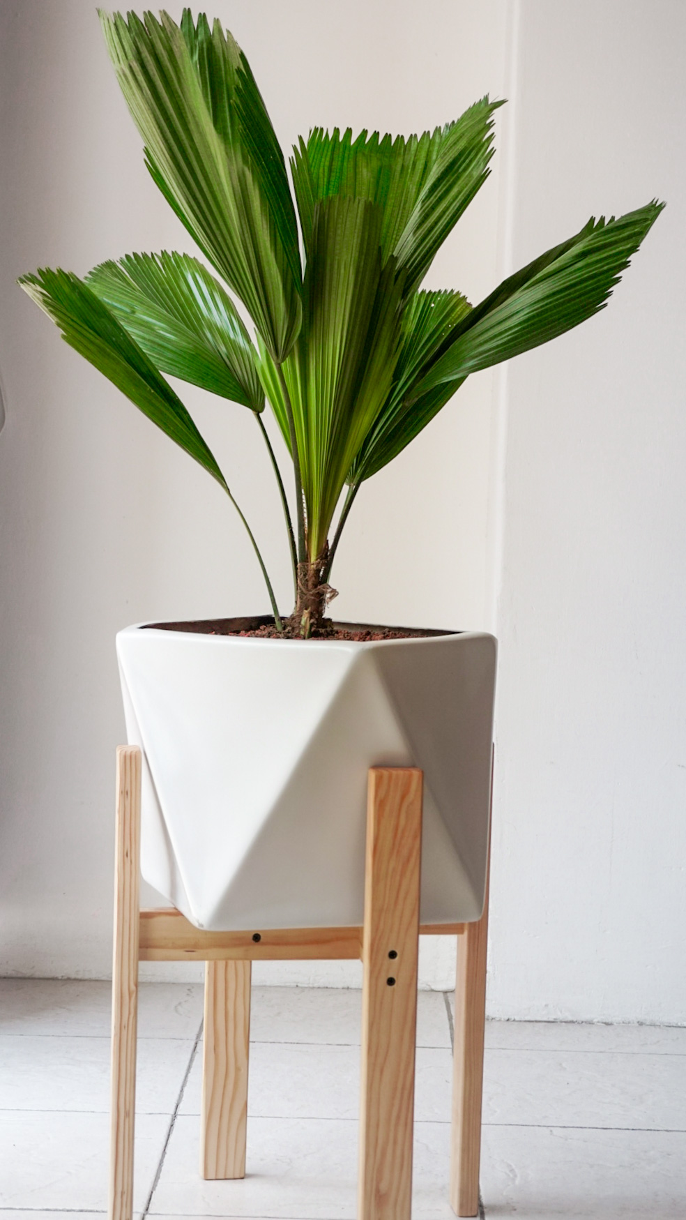 Foto 26-03-21 14 39 01