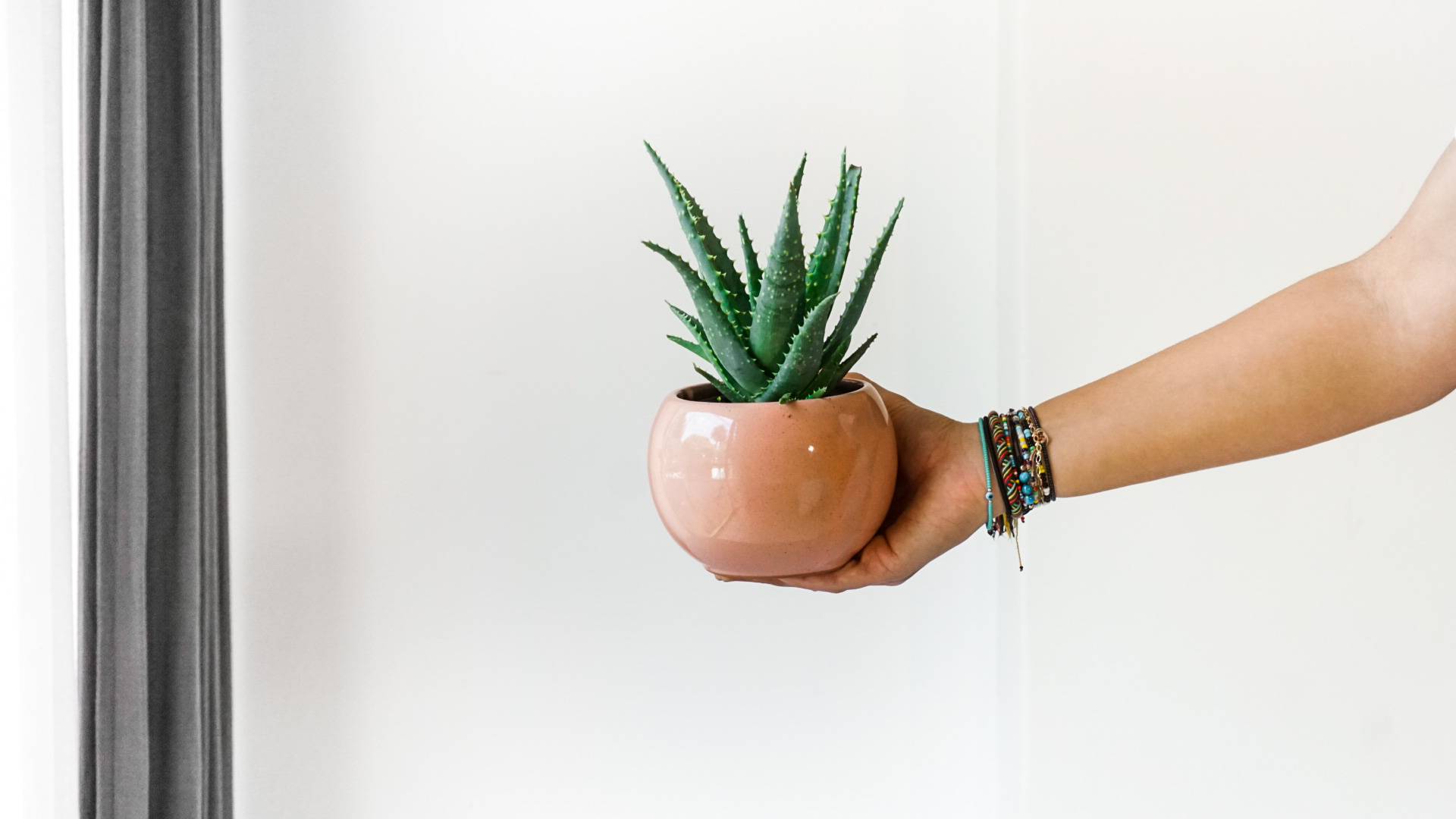 Foto 29-05-21 12 15 21