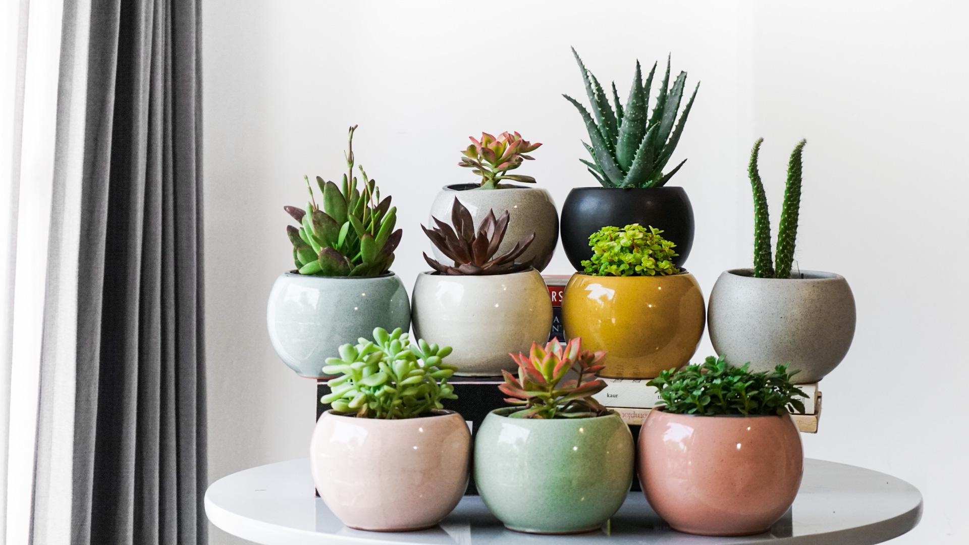 Foto 29-05-21 12 28 05