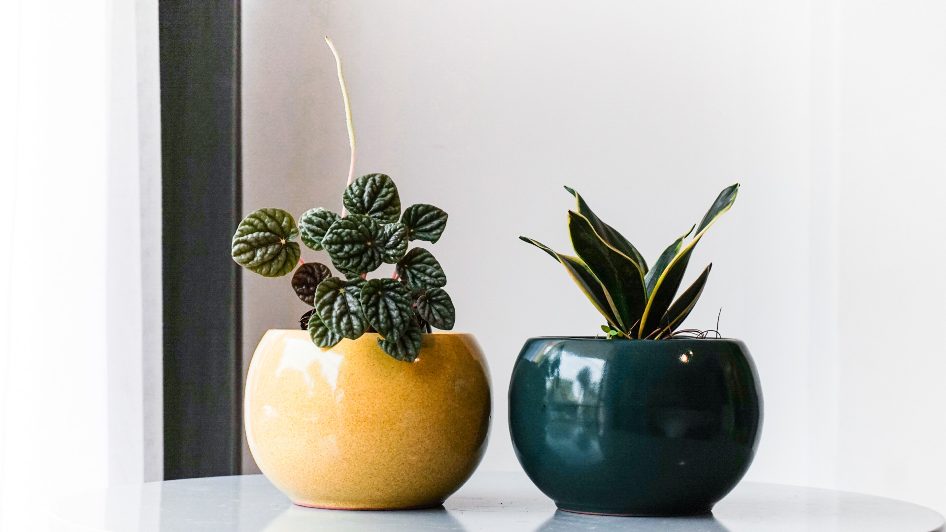 Foto 29-05-21 13 12 39