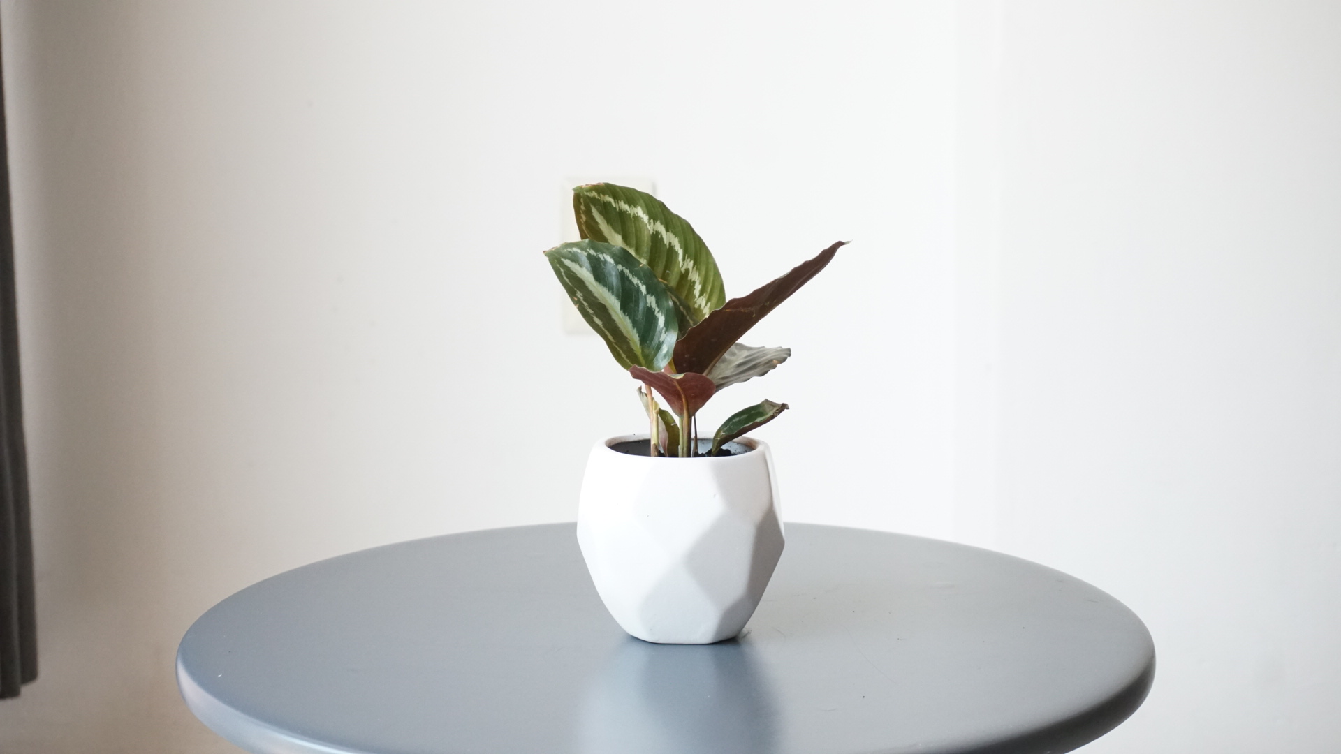 pict20201006_124506_0