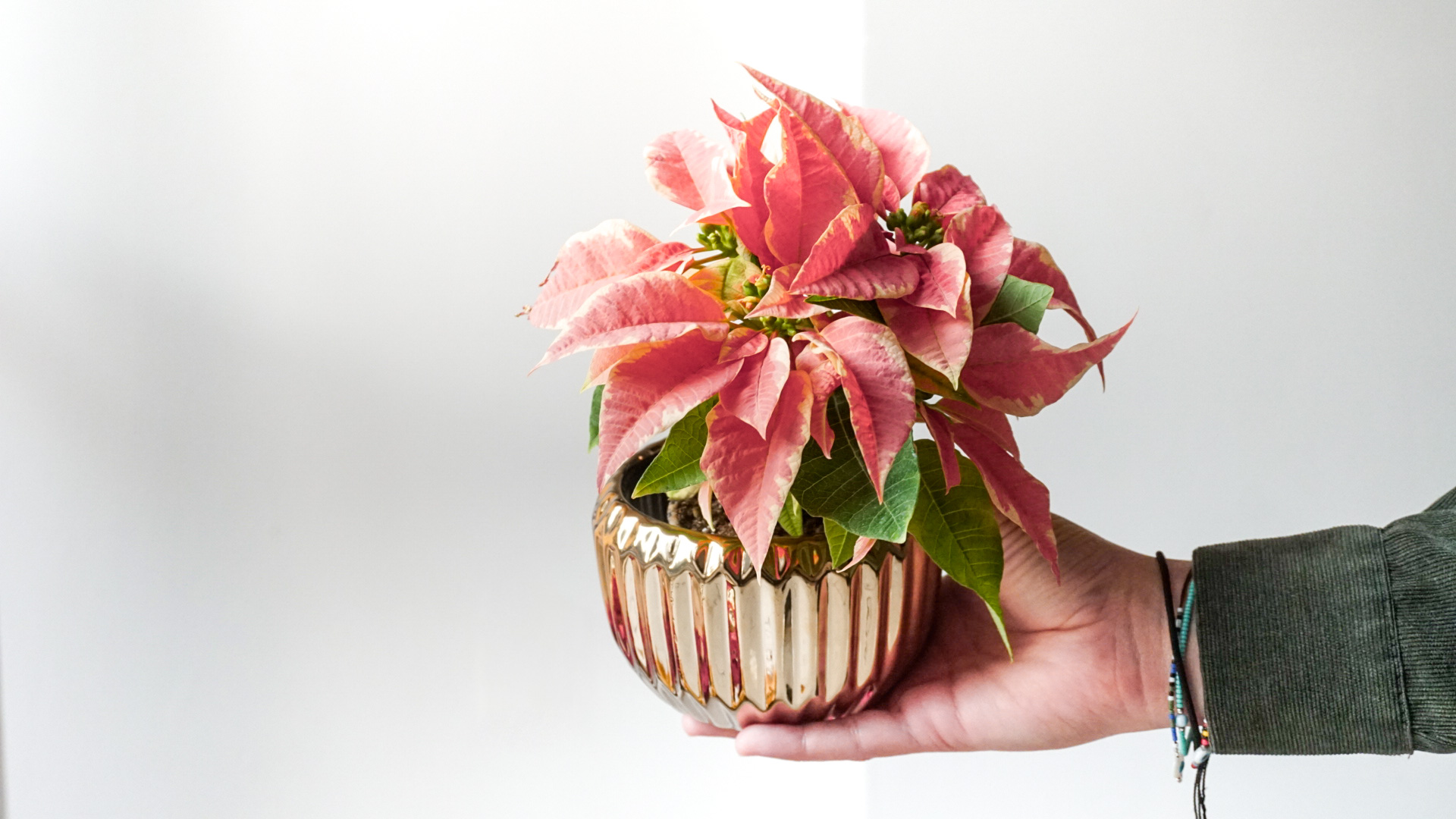 pict20201113_183850_0