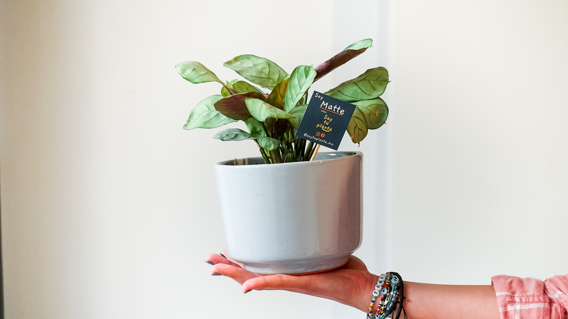 pict20201211_181839_0