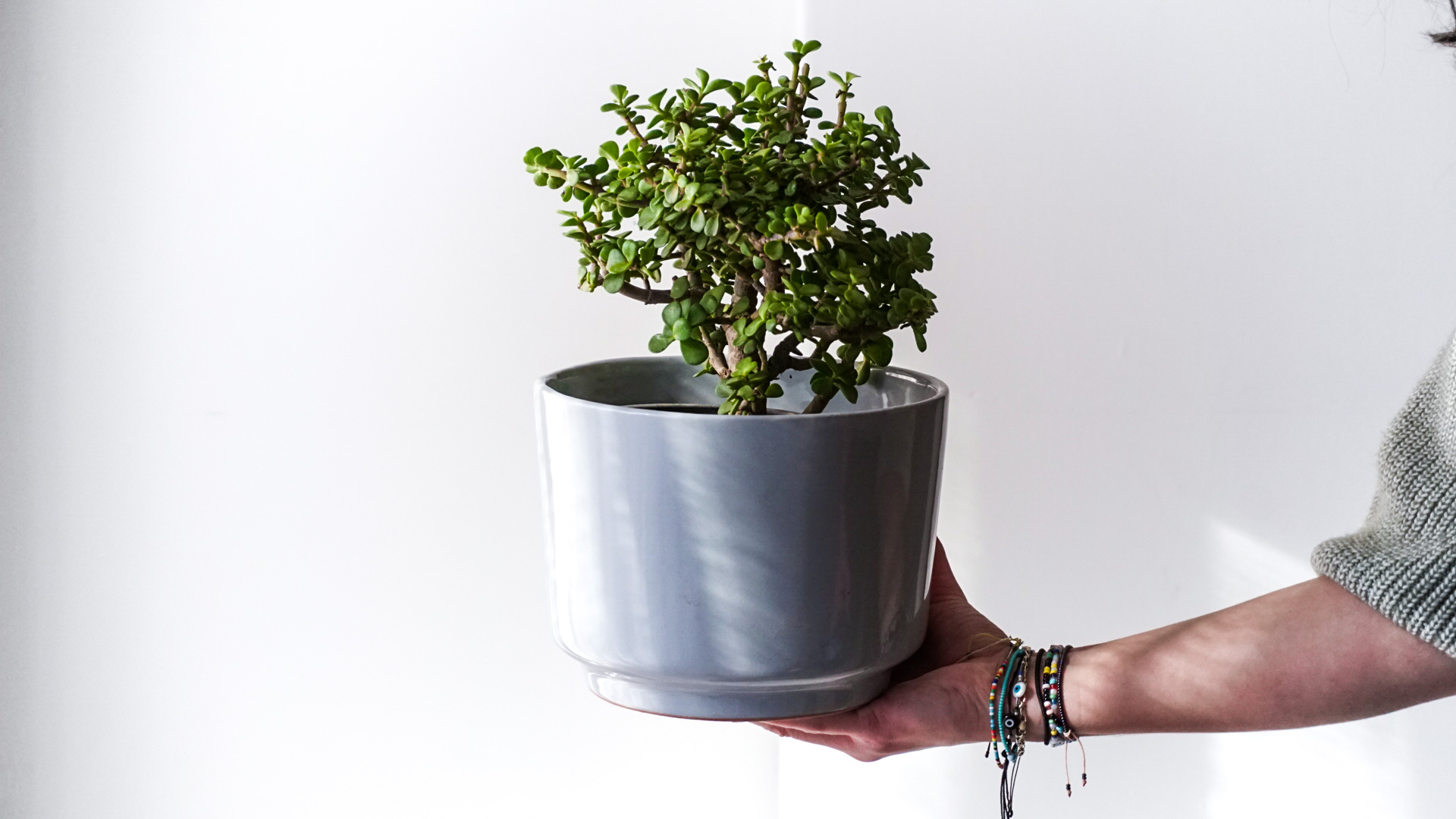 pict20201229_164658_0