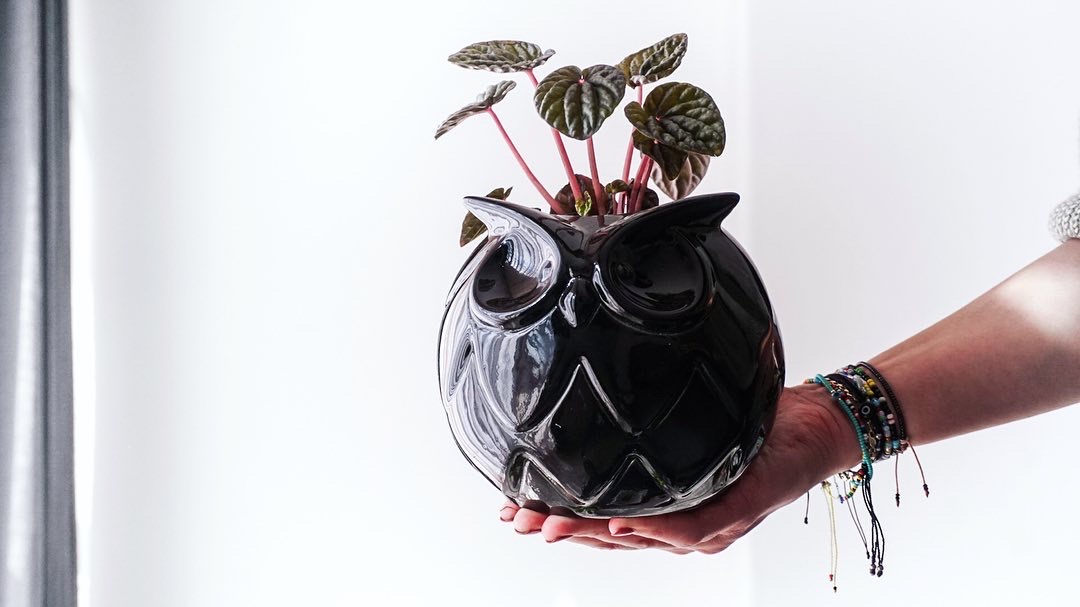 2020-12-31 02.07.04-1