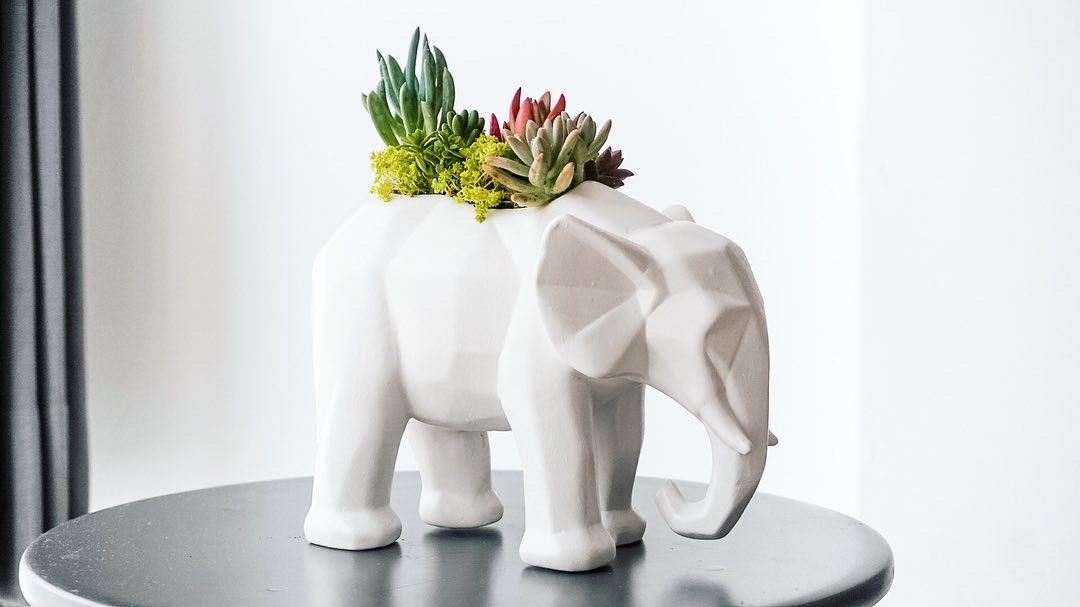 47506F9E-101C-4B2F-BF5C-352AE659006E