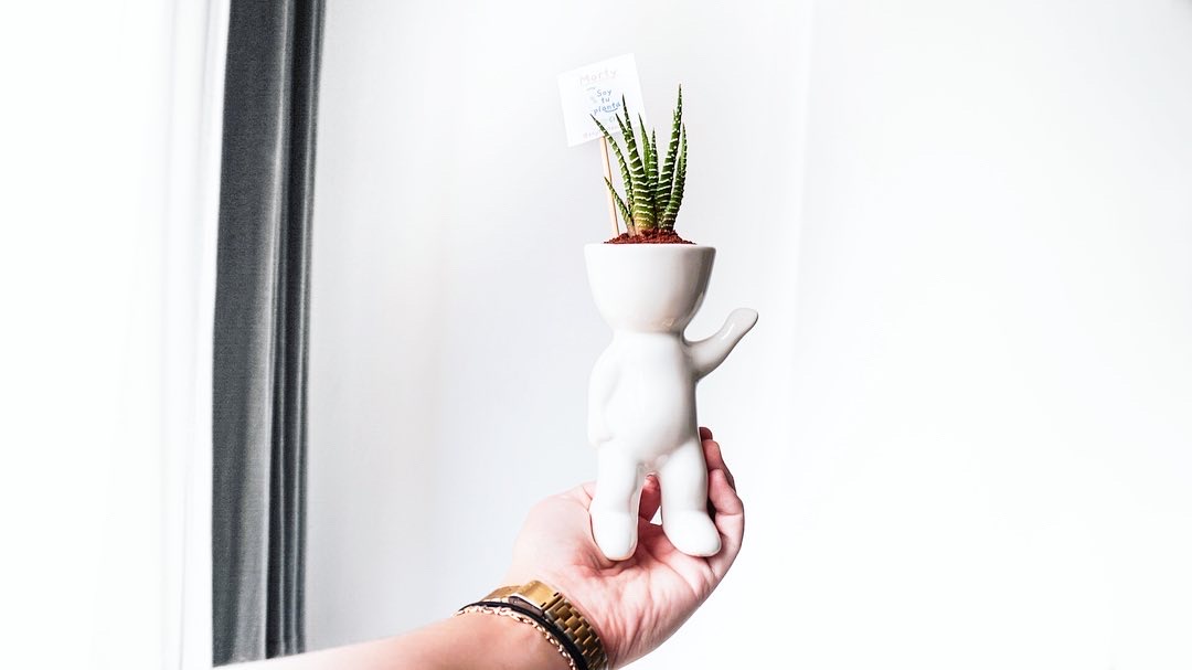 B744A2D8-A468-4E9F-B821-818F9EFB22B6 2