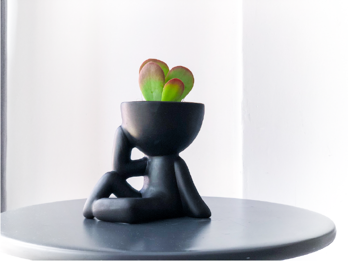 Copia de Foto 14-01-21 12 26 54_1