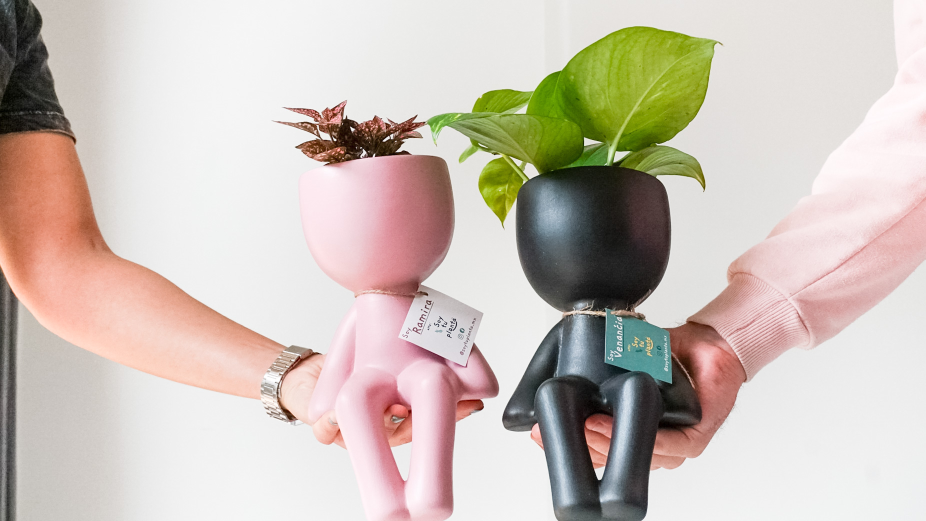 Copia de pict20201205_143041_0