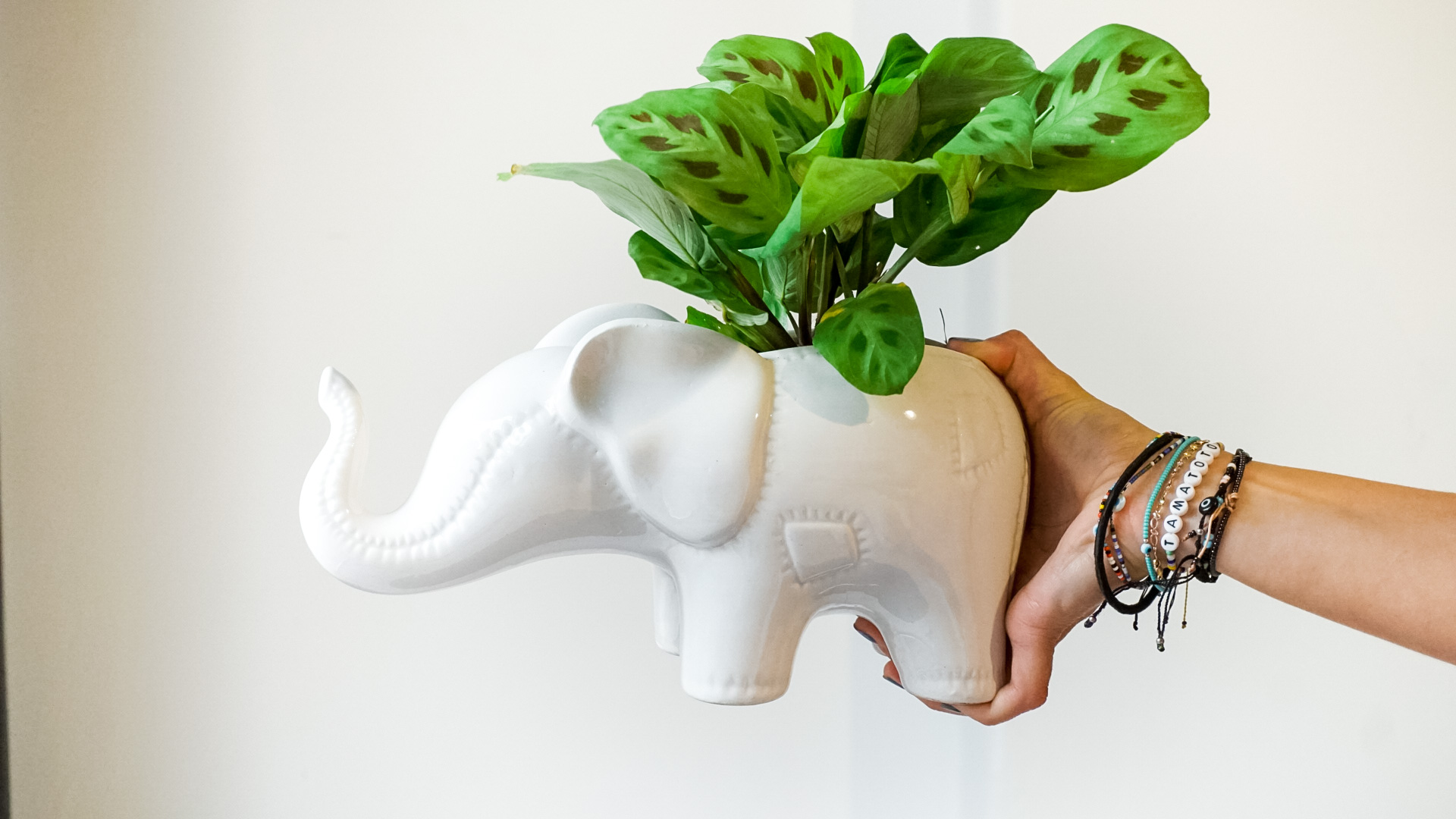 Copia de pict20201211_181717_0