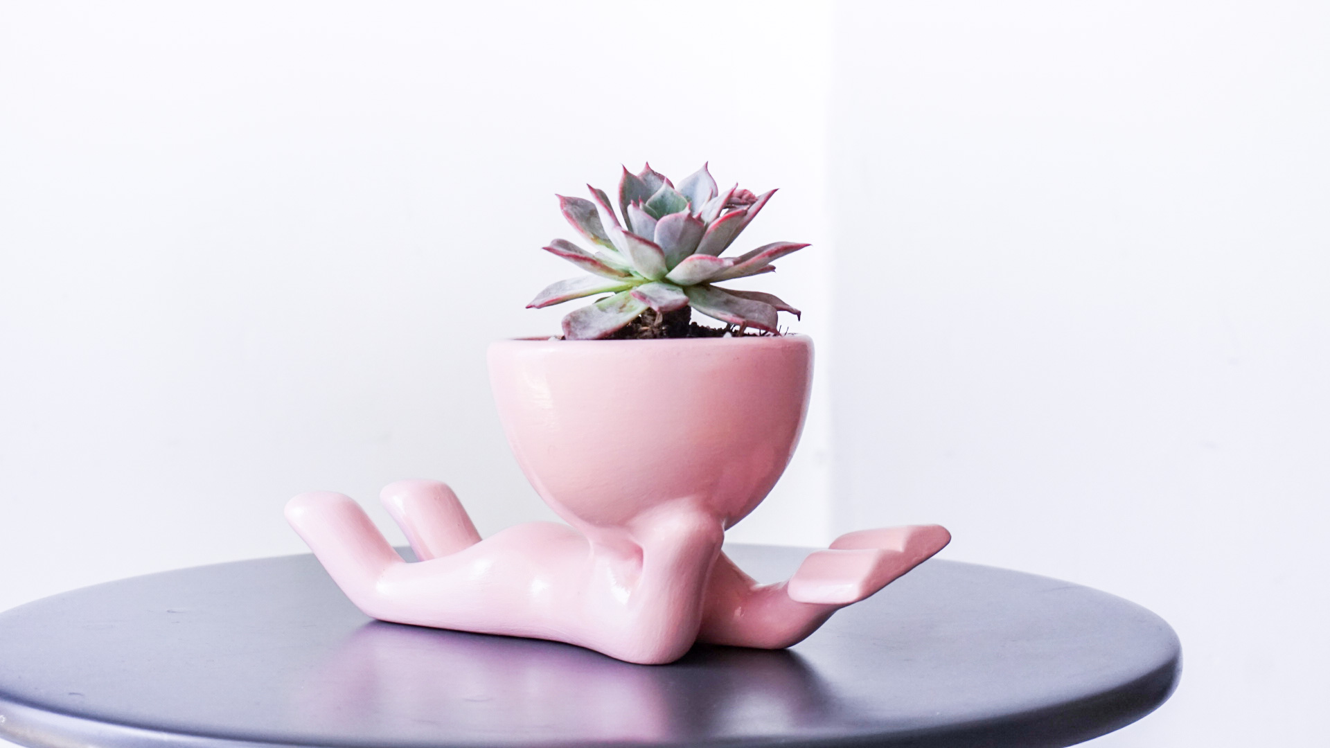 Foto 05-04-21 13 57 40 (1)