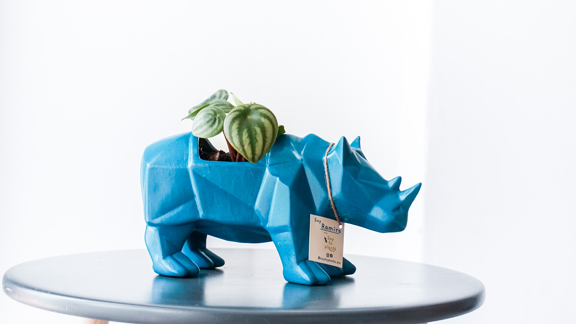 Foto 05-04-21 14 04 59