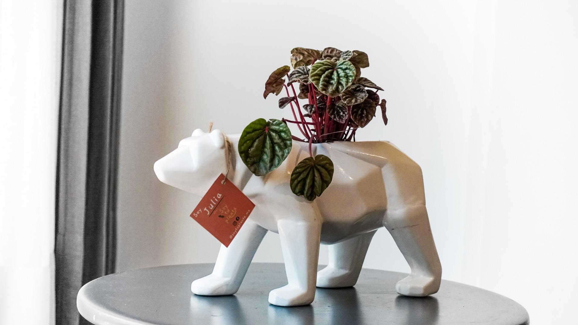 Foto 06-02-21 12 24 08