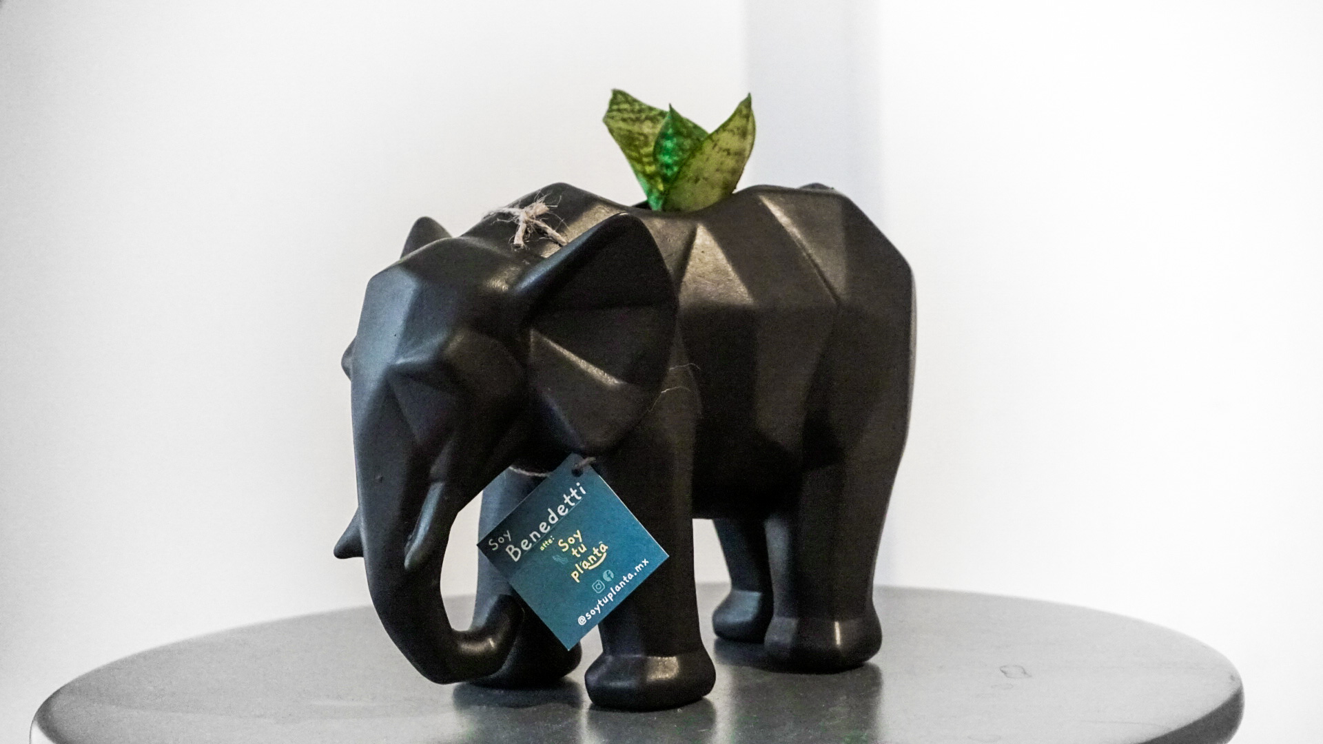 Foto 08-02-21 19 26 58