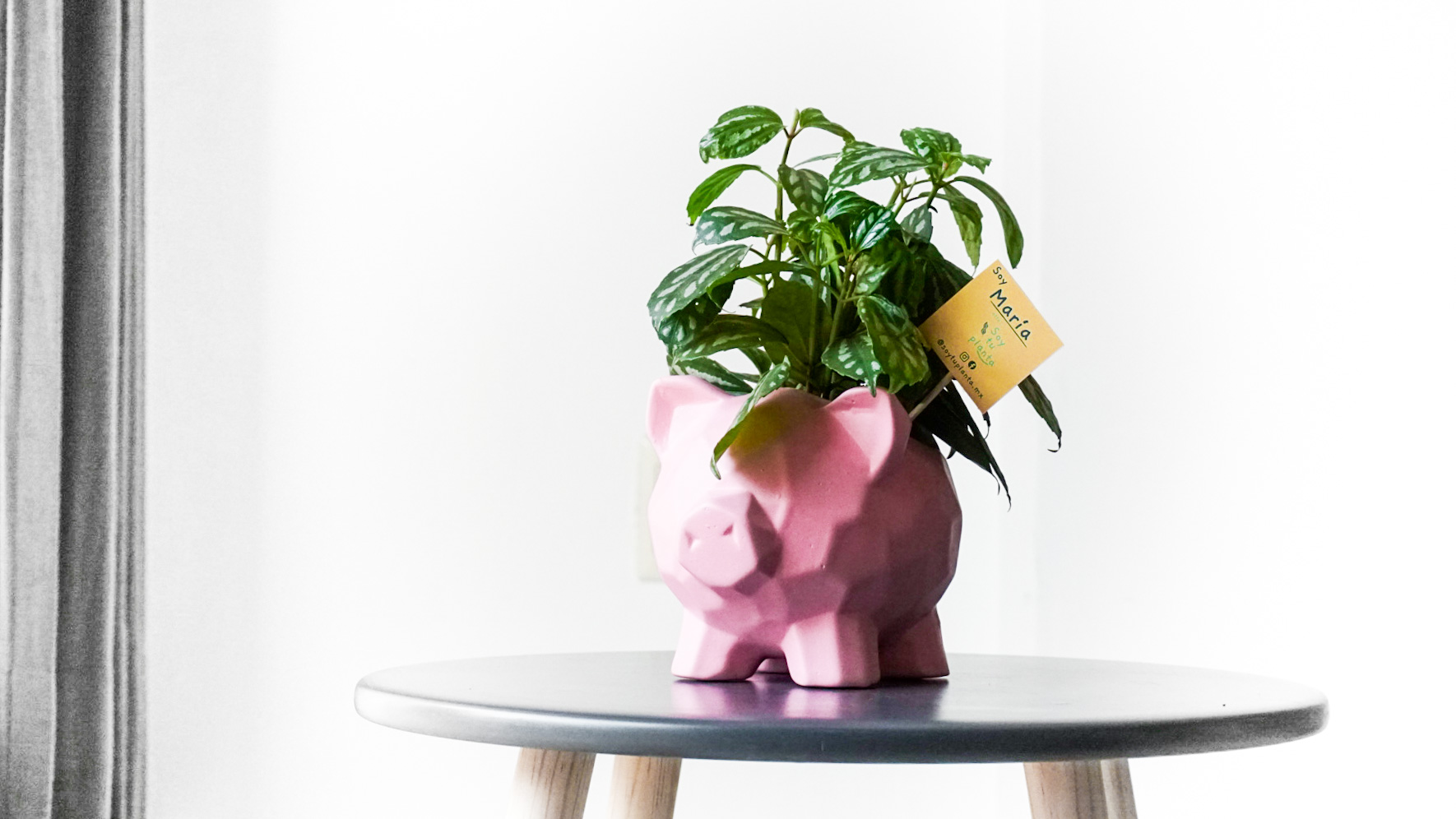 Foto 10-02-21 10 34 54