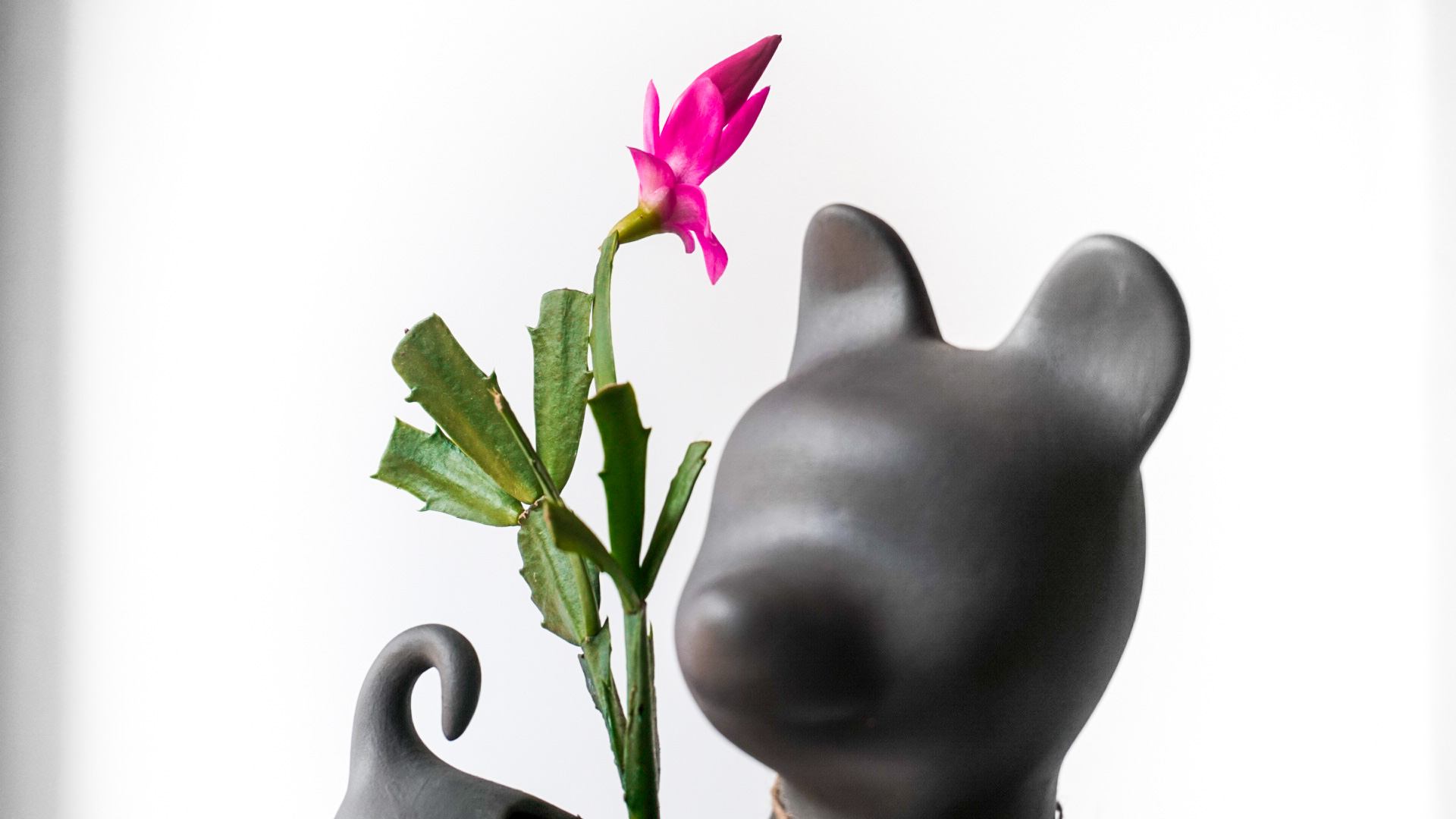 Foto 10-02-21 13 17 25