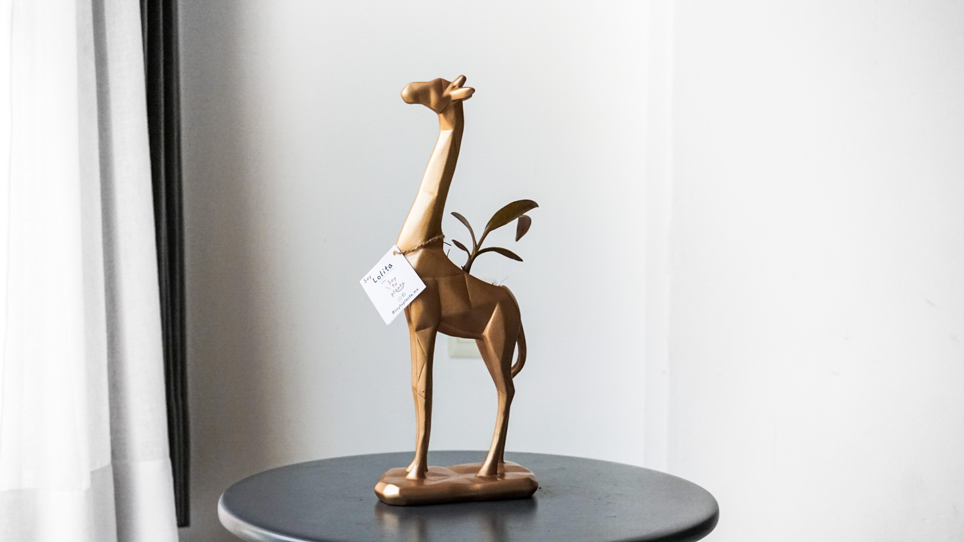 Foto 11-02-21 11 44 05