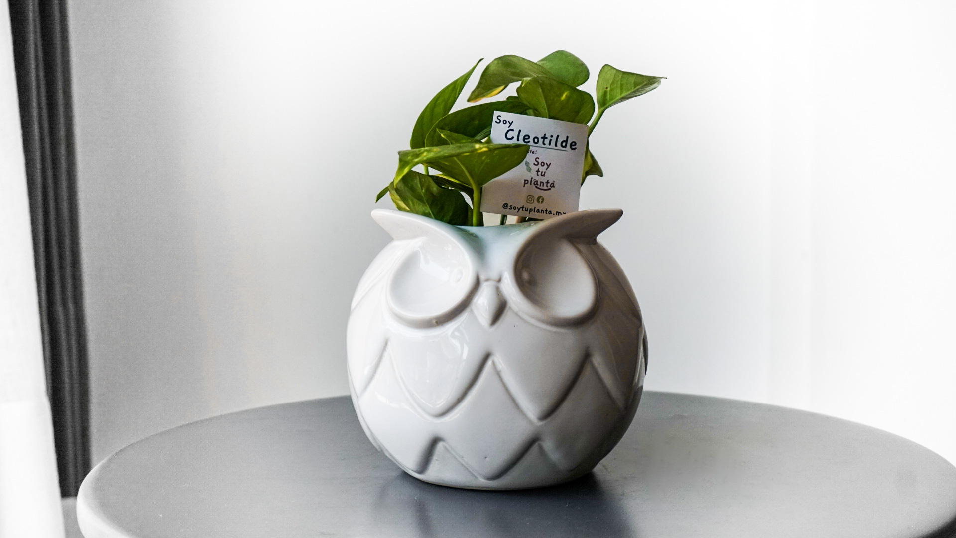 Foto 11-02-21 11 45 45