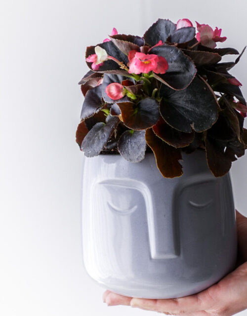 Maceta Rostro Tía Yola