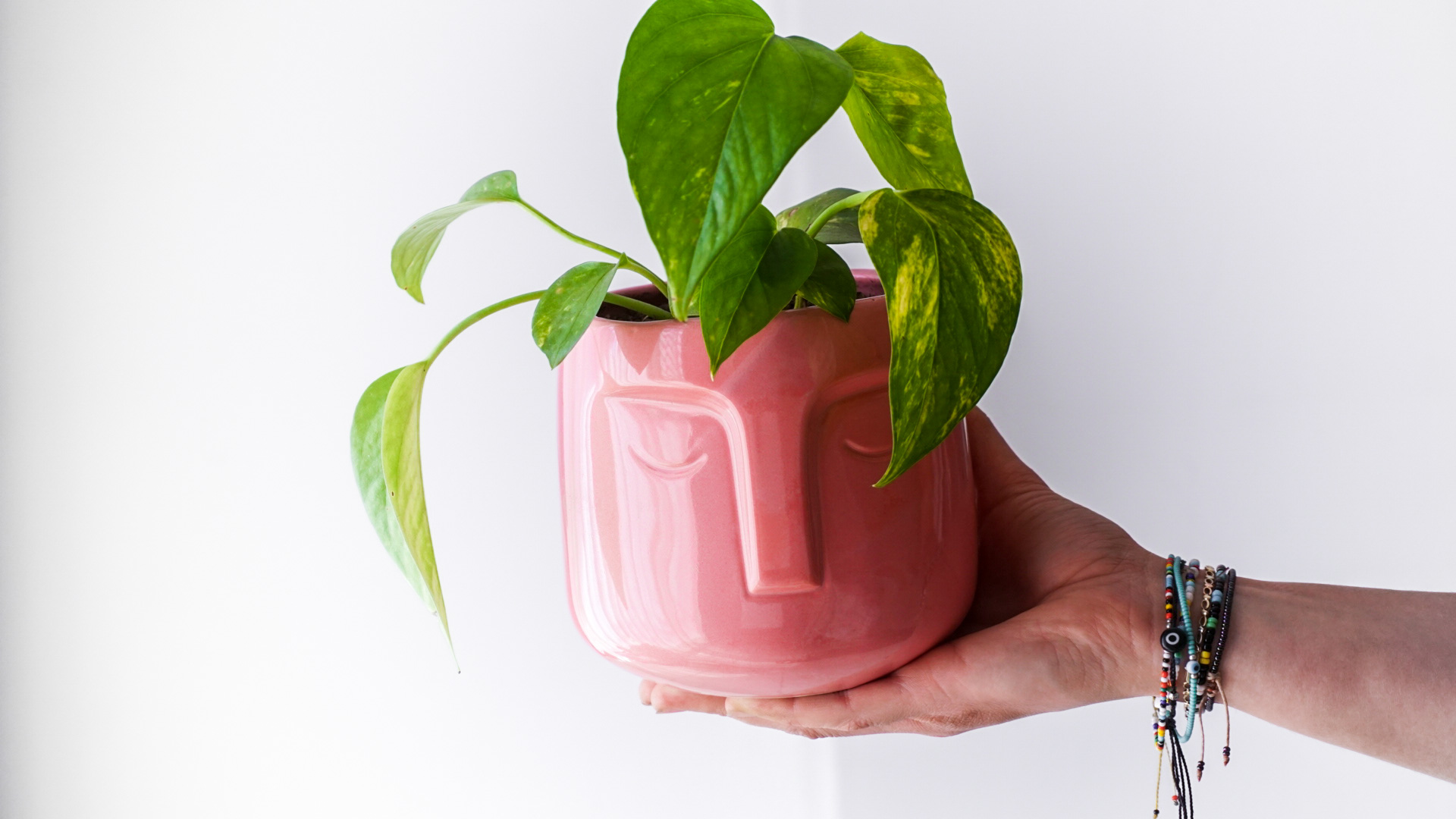 Foto 12-03-21 15 58 07