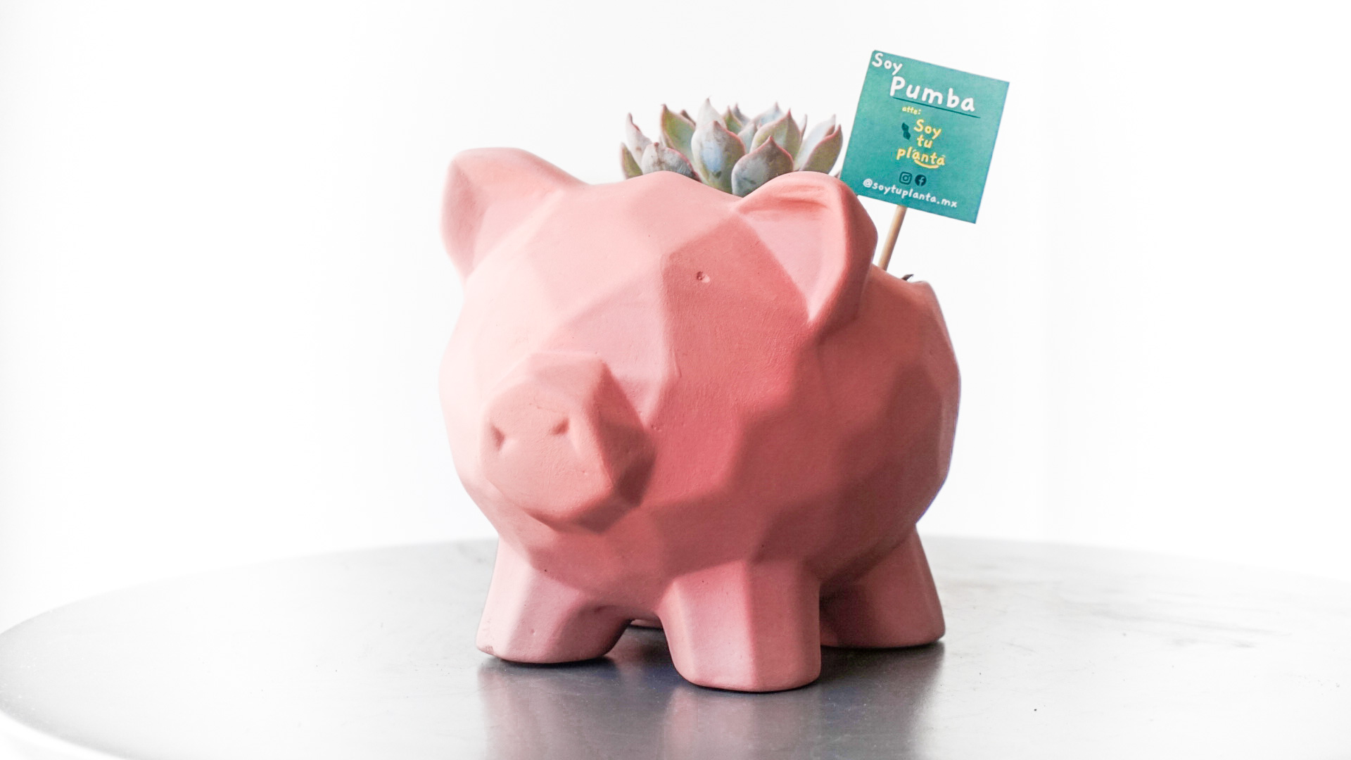 Foto 13-02-21 13 34 56 (1)