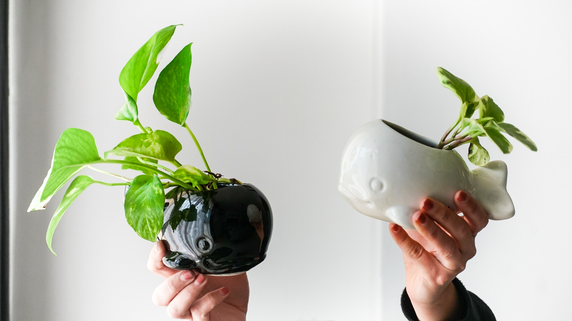 Foto 14-01-21 13 56 02