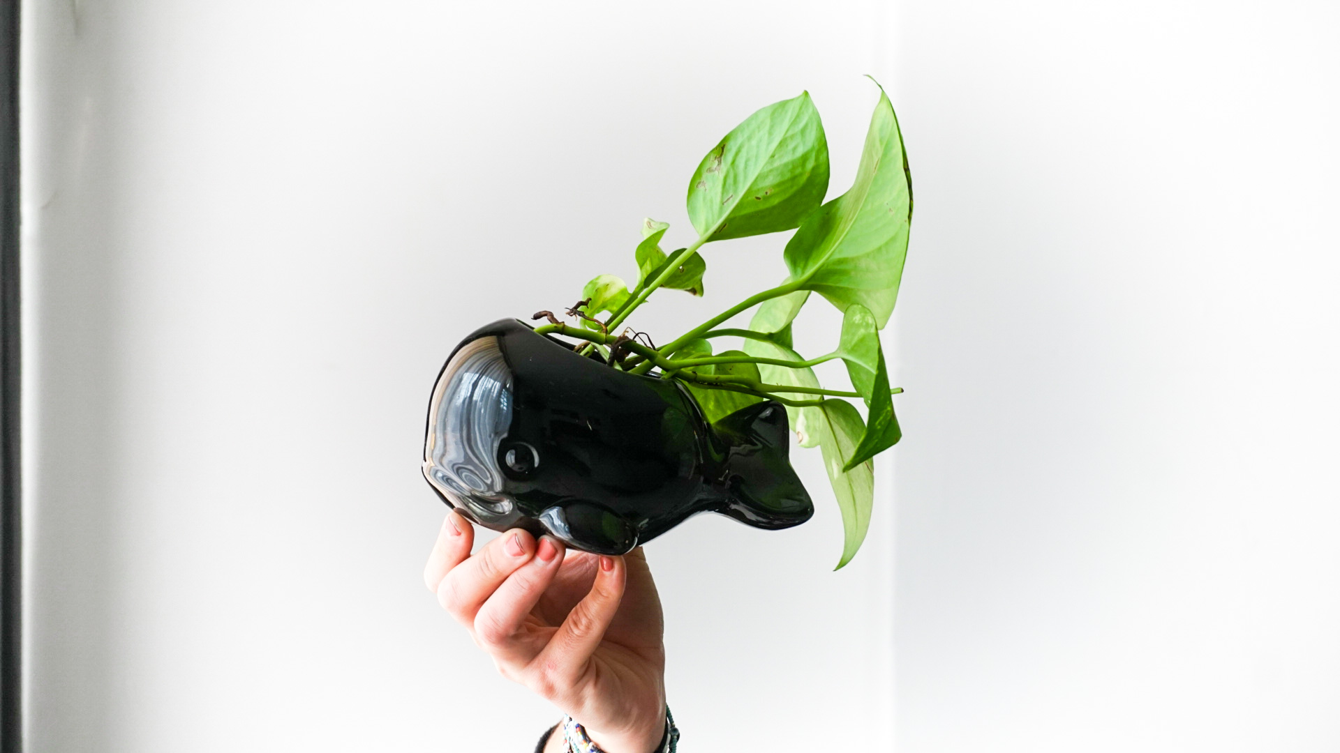 Foto 14-01-21 13 57 14