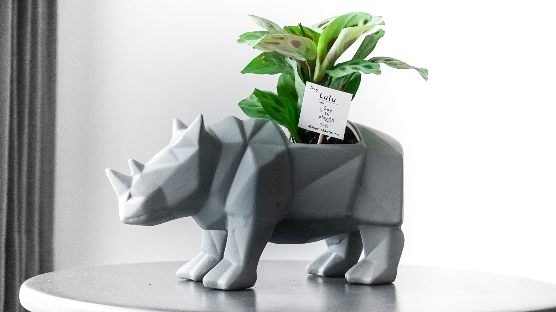 Foto 17-02-21 11 21 28