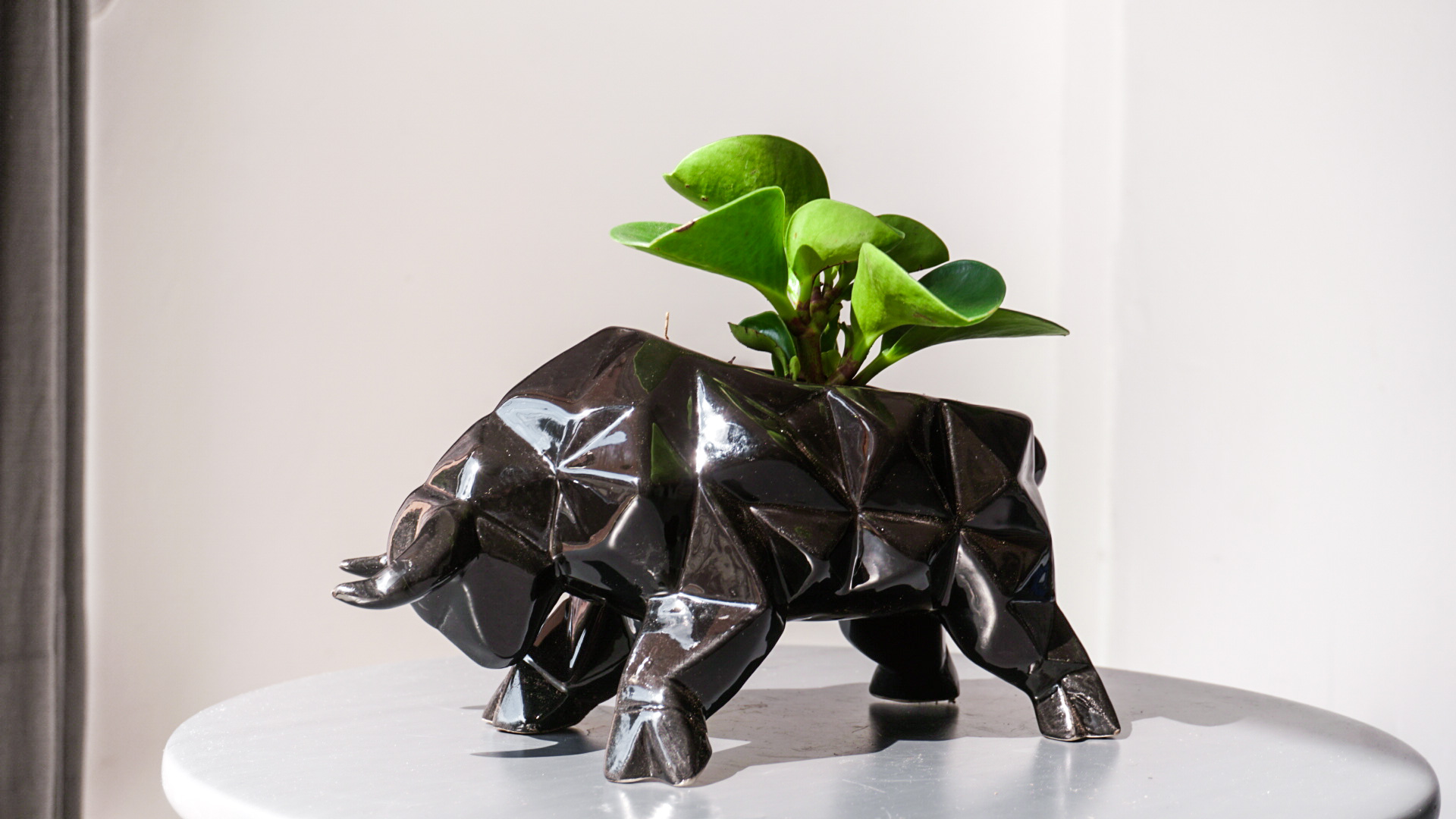 Foto 20-01-21 15 30 57