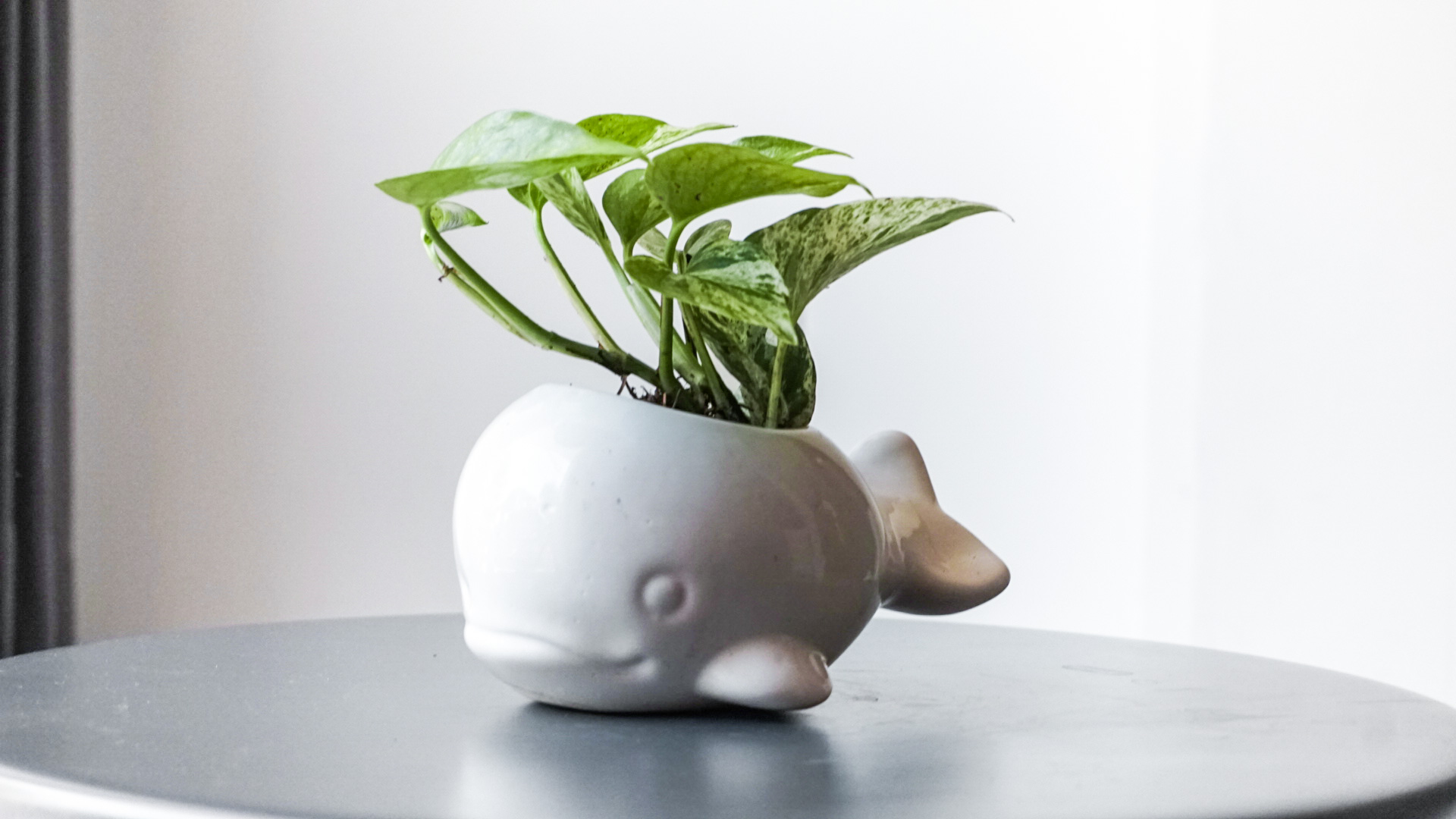 Foto 22-01-21 11 56 30