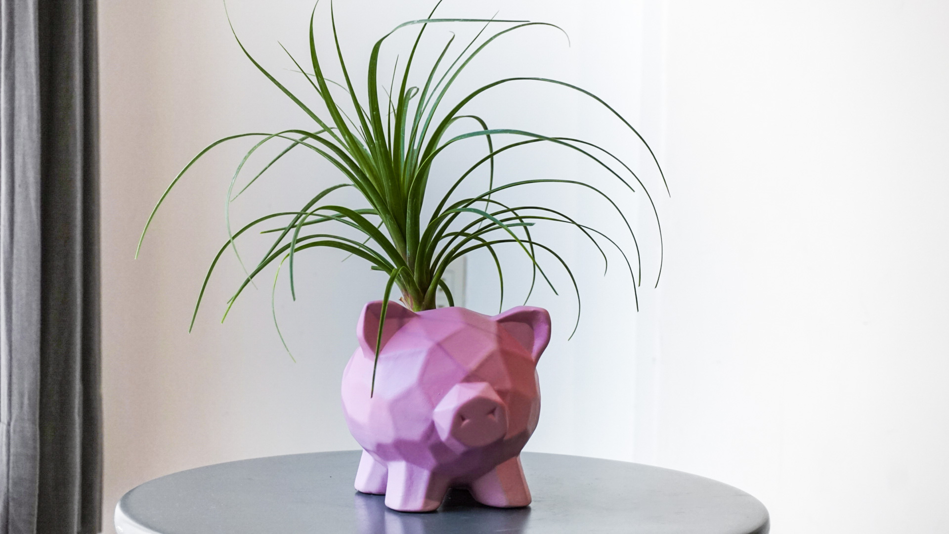 Foto 22-01-21 11 59 29