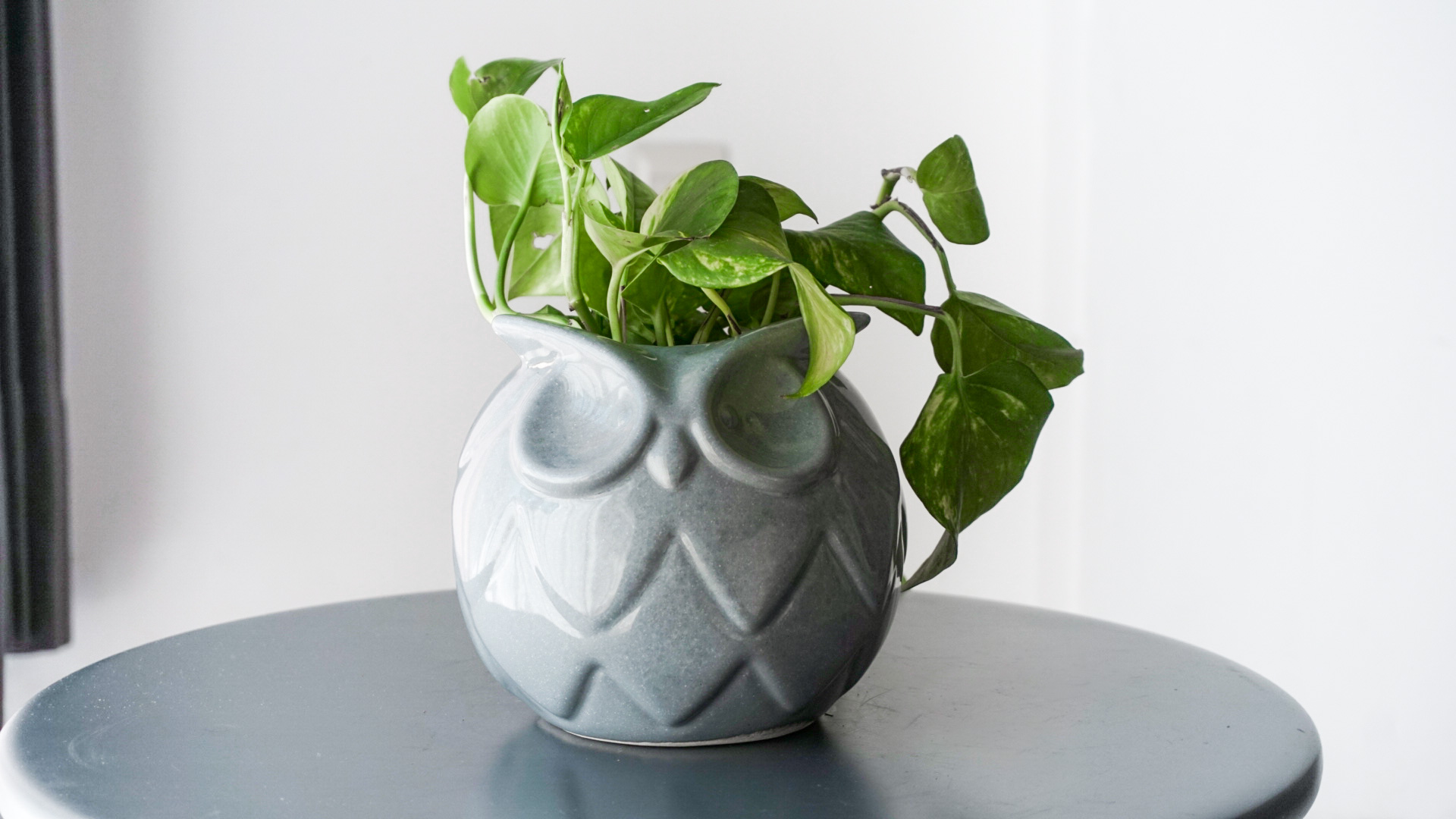 Foto 24-03-21 15 36 05