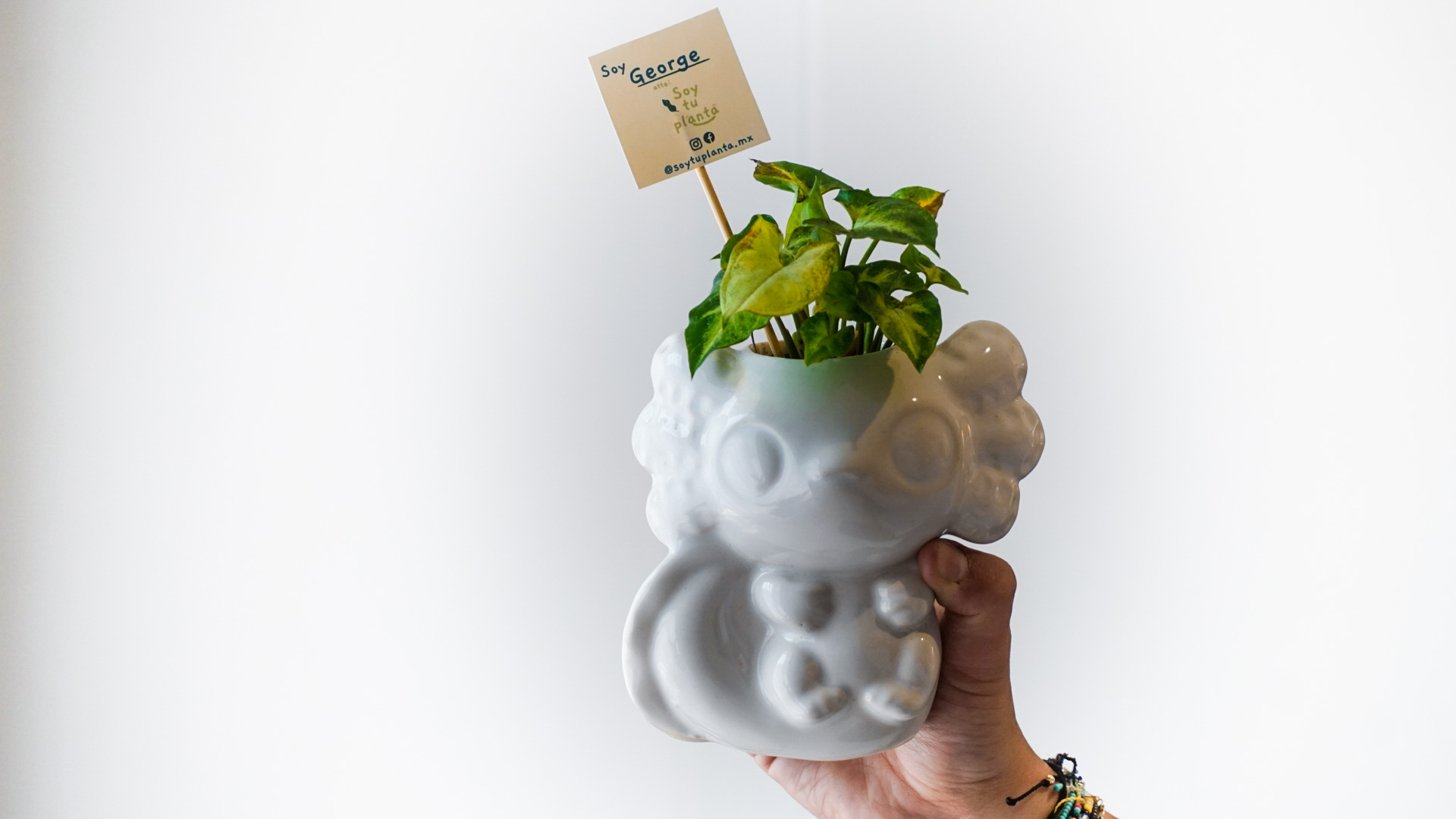 Foto 24-04-21 14 53 35