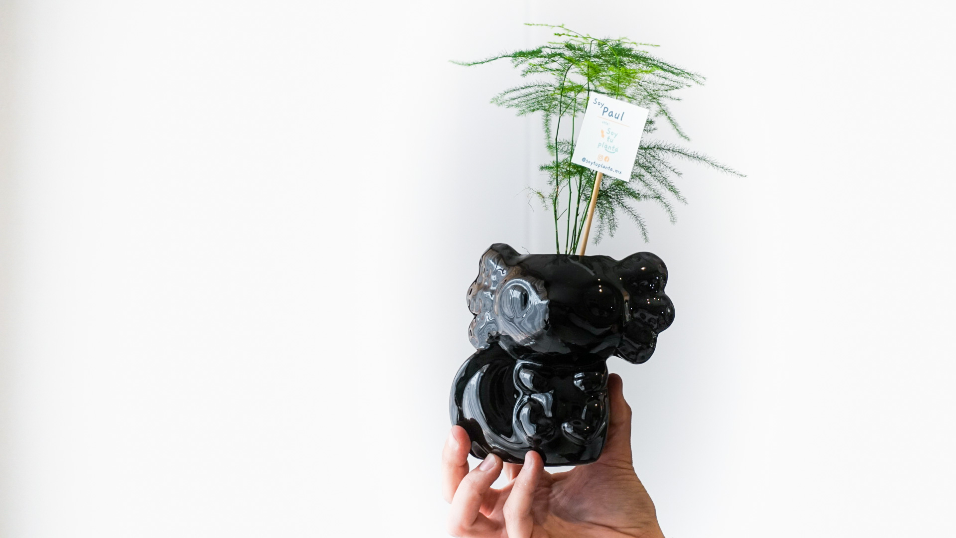 Foto 24-04-21 14 55 04