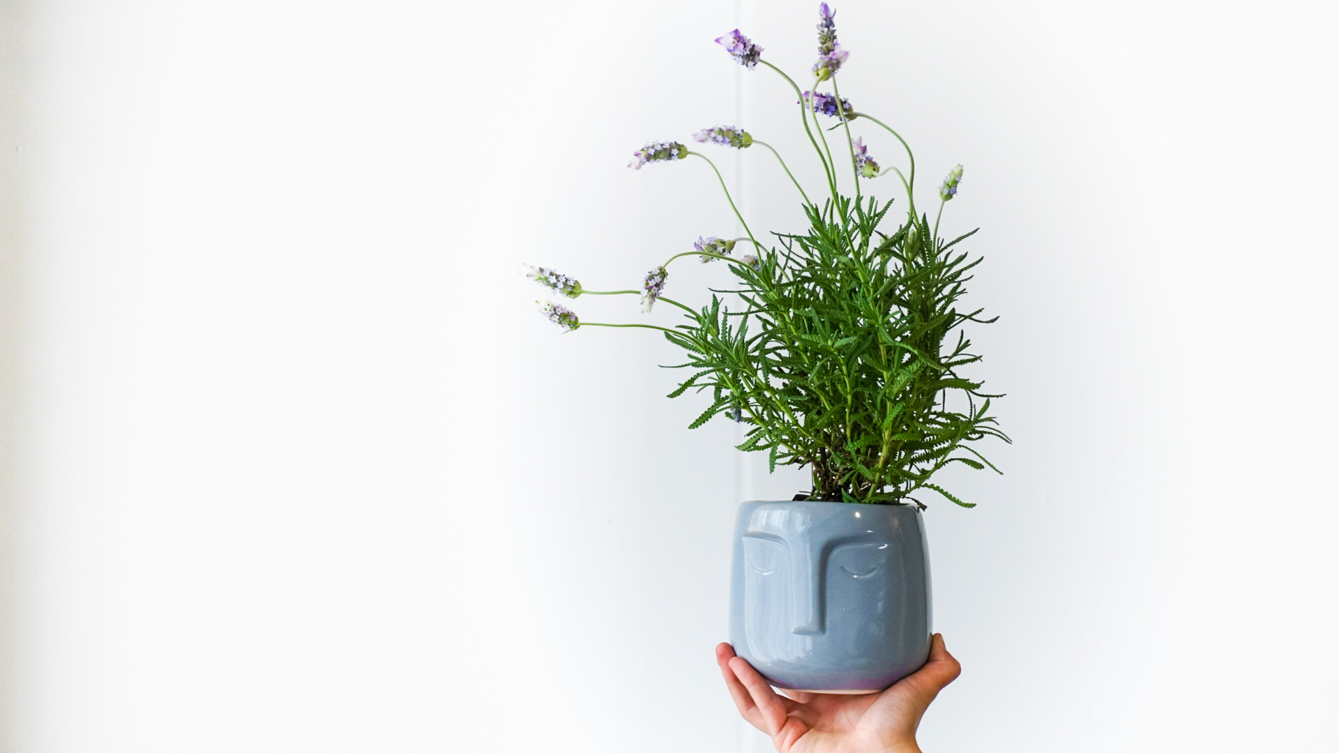 Foto 24-04-21 15 04 09