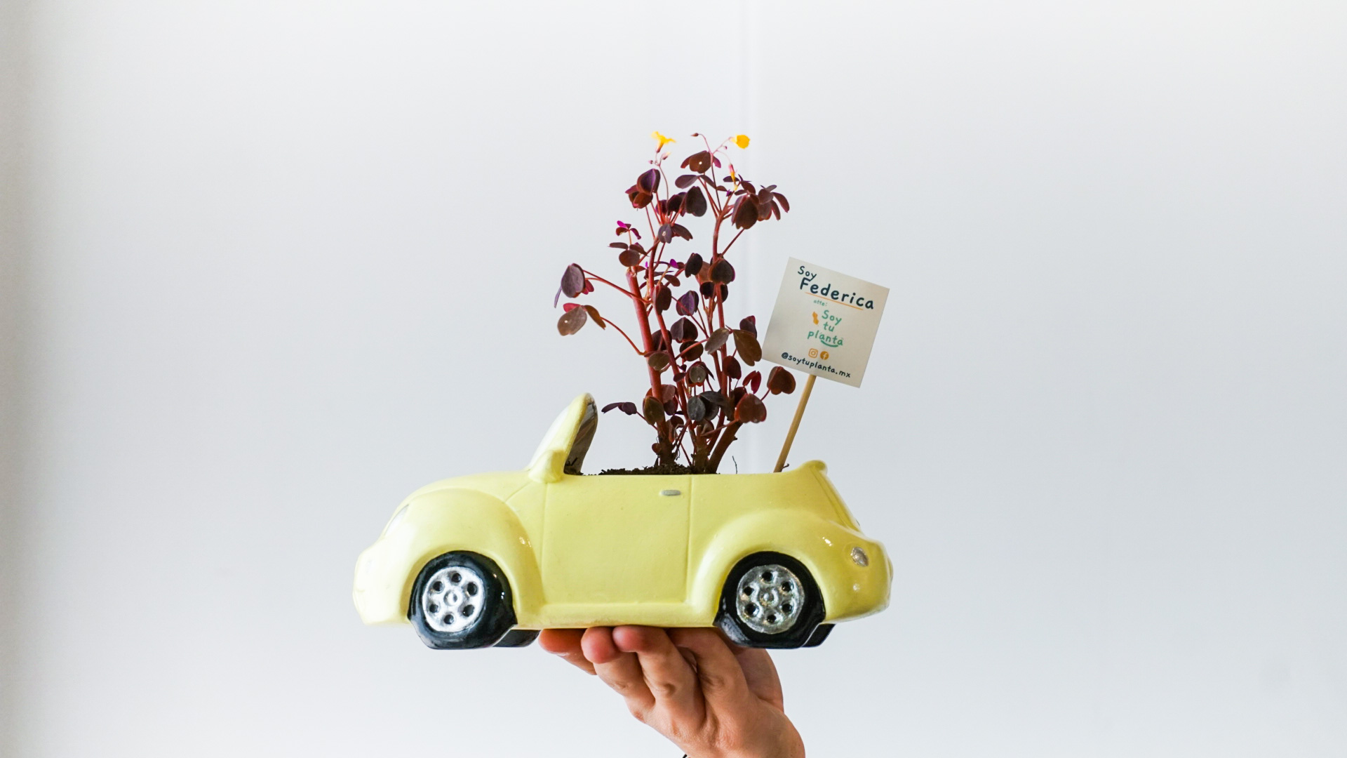 Foto 24-04-21 15 08 16