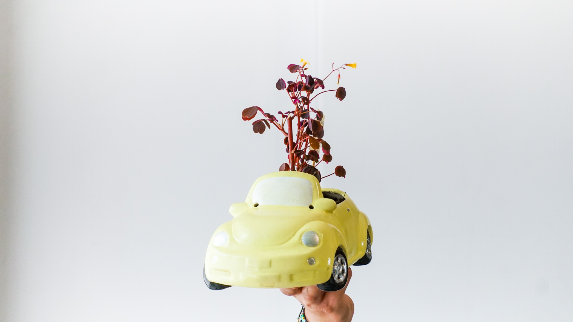 Foto 24-04-21 15 08 28