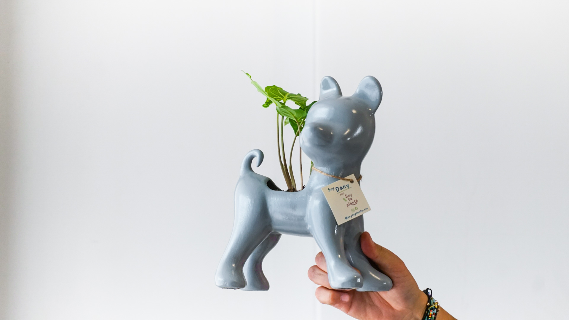 Foto 24-04-21 15 10 32