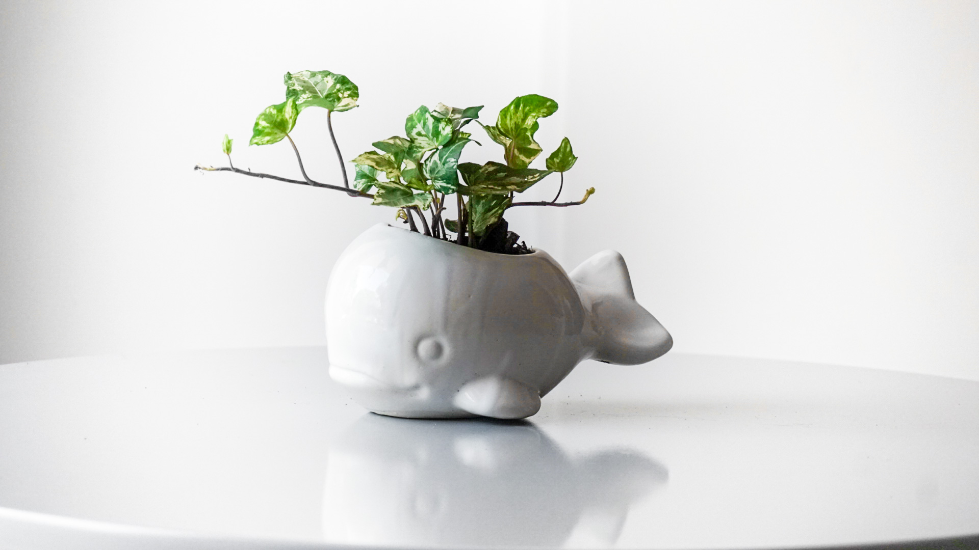 Foto 28-01-21 11 42 30