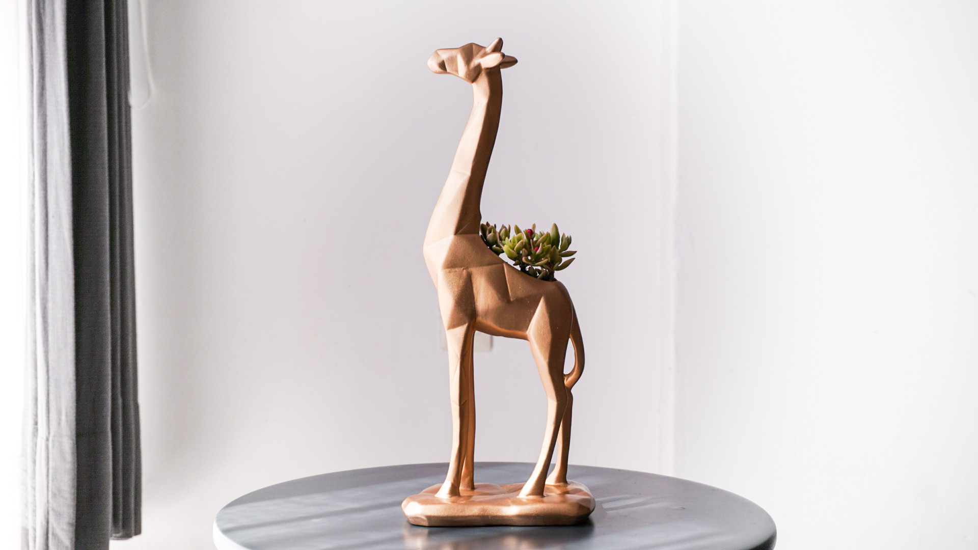 Foto 30-01-21 15 41 21