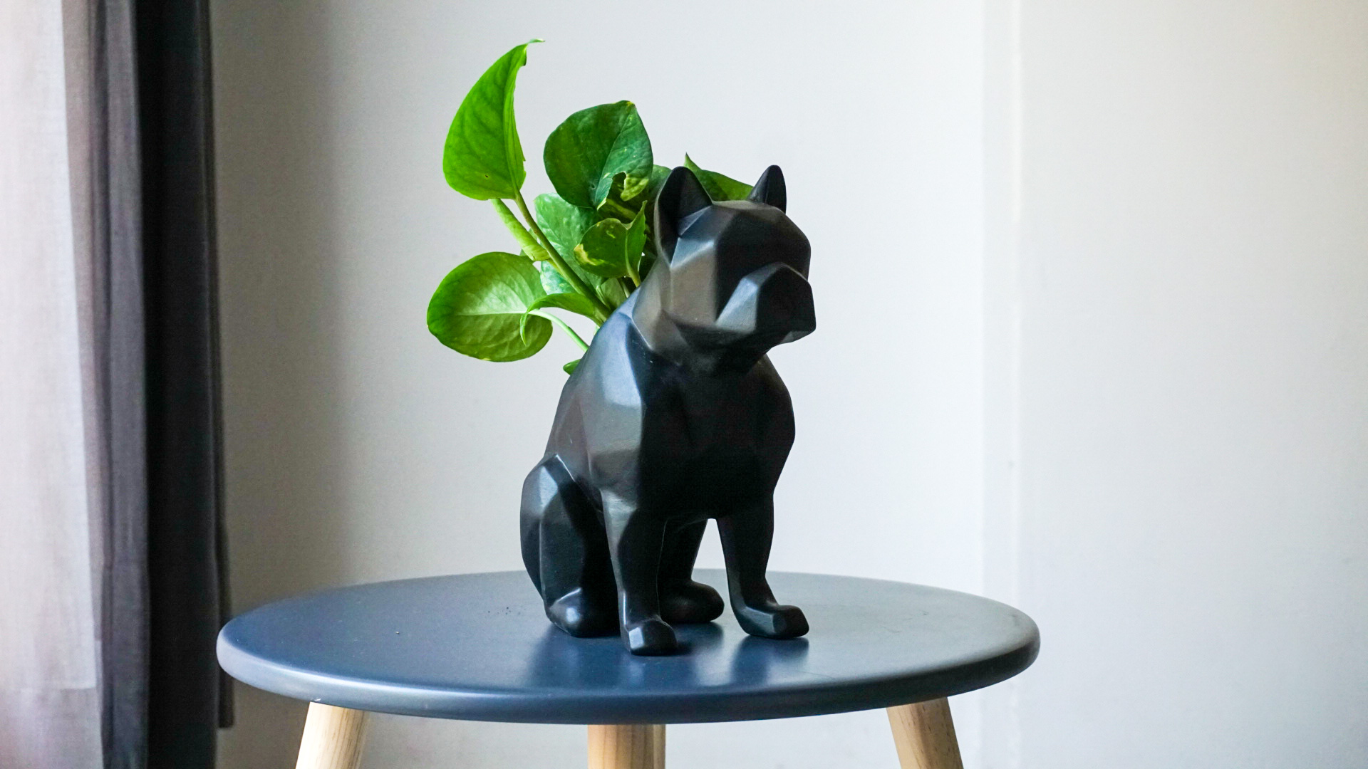 pict20201023_100541_0 2