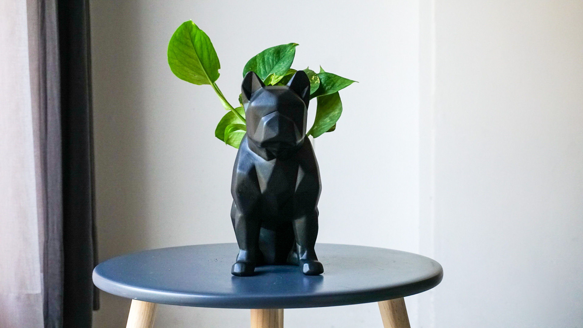 pict20201023_100555_0 2