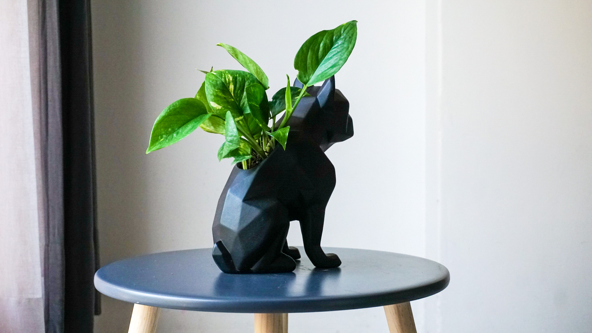 pict20201023_100646_0 2