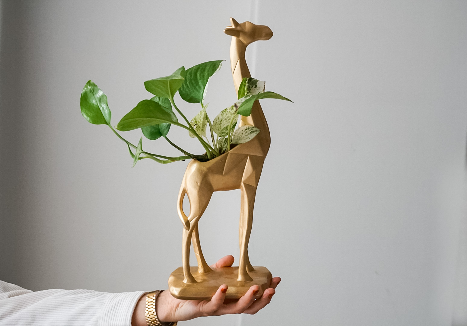 pict20201028_160923_0